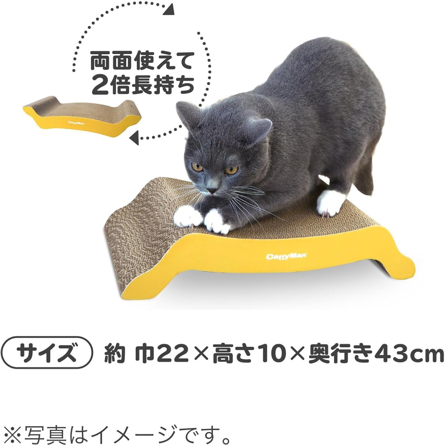 Catty Man Irotogi Cat Claws Brush