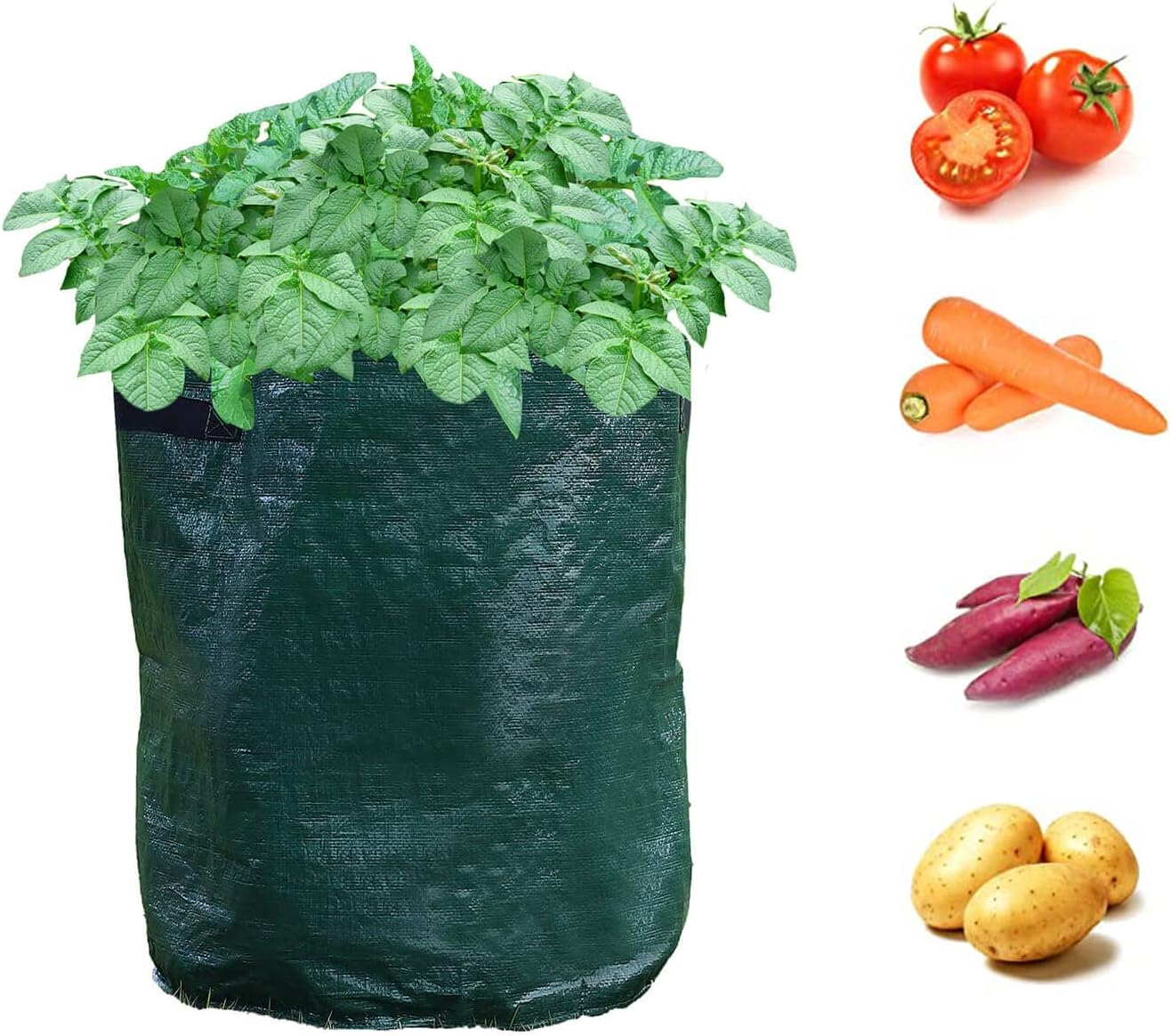 2 Pack 55 Litre Potato Grow Bags, Ideal for Potatoes, Tomatoes, Carrots, Onions & All Other Vegetables and Herbs, 12 Gallon Heavy Duty PVC Planting Pots with Handles image number 6