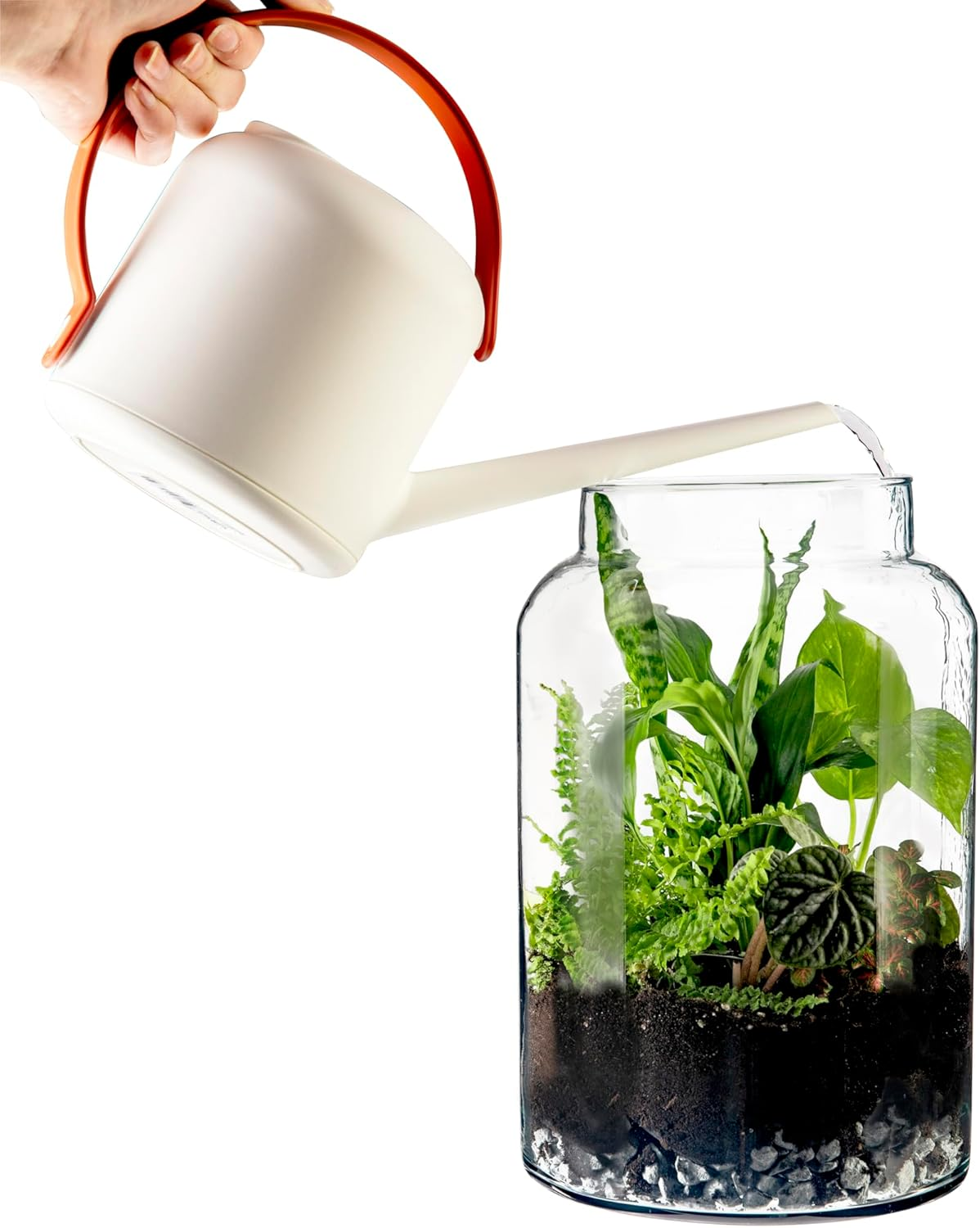 Generic Terrarium Glass Bottle with Lid, Clear, Medium image number 3