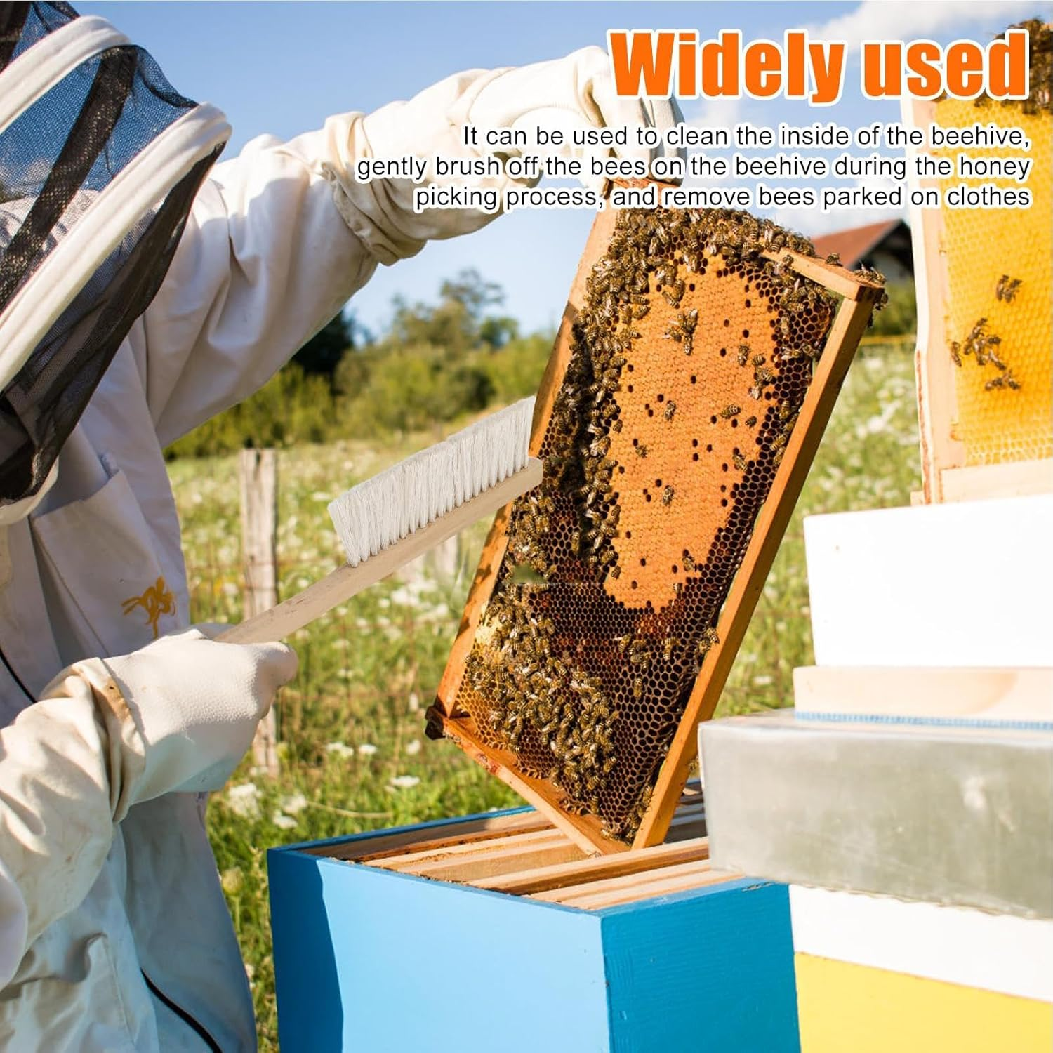 Beekeeper Brush, Natural Horsehair Bee Hive Tool for Beekeeping, Soft Cleaning Beehive Tool with Wooden Handle Honeybee Supplies for Outdoor Garden Backyard image number 3