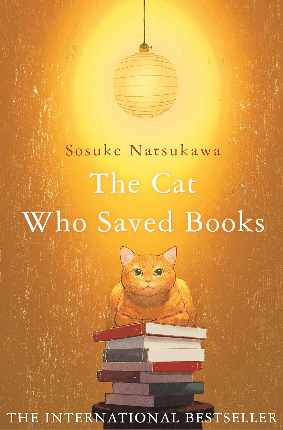 The Cat Who Saved Books: Sosuke Natsukawa image number 1