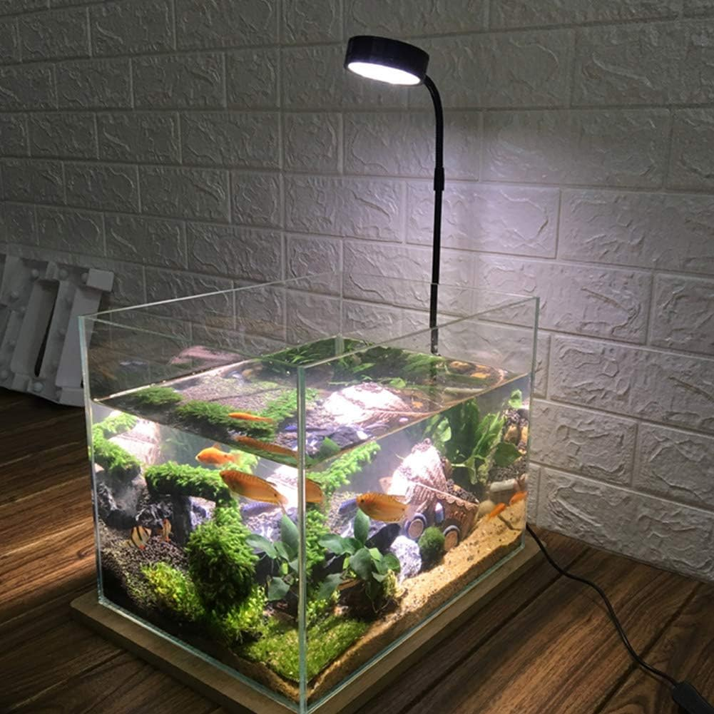 LED Aquarium Light 360 Degree Full Spectrum LED Light with Bamboo Board 10W Nano Fish Tank Light USB Powered Flat Nano Aquarium Light Bett a Fish Tank Light for Plant Growth image number 4