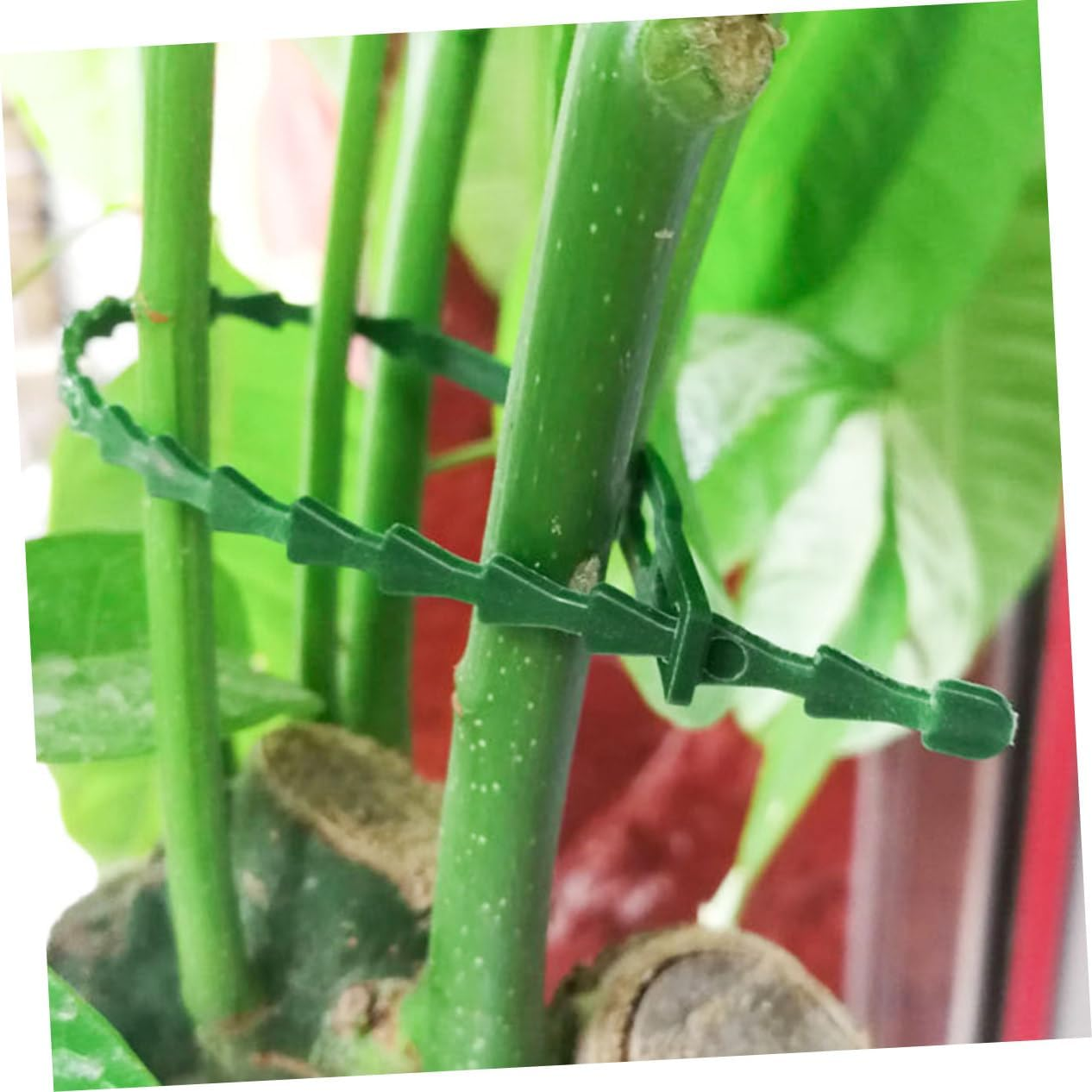 BCOATH 200Pcs Gardening Plant Support Strap Soft Plant Ties Tape for Outdoor Material