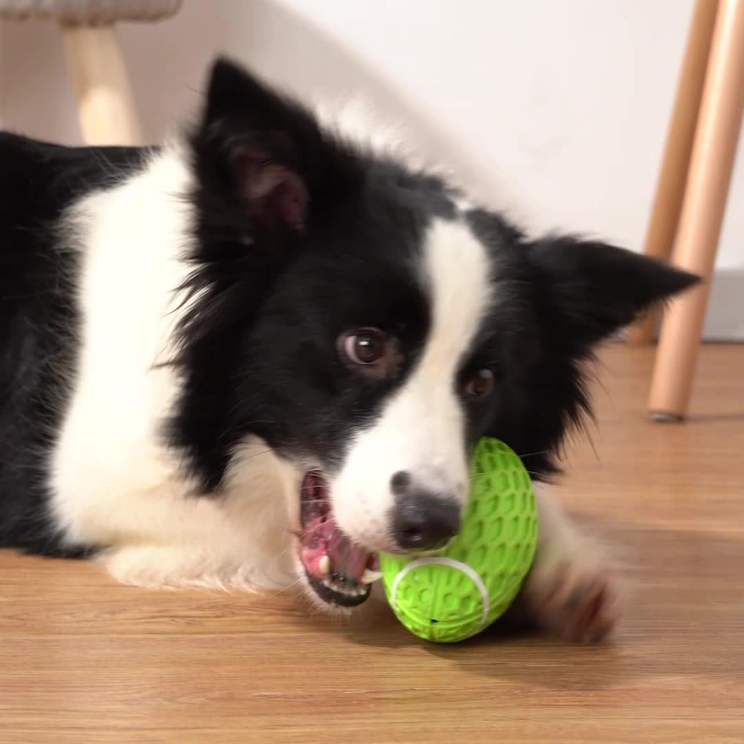 AUSCAT 2PCS Squeaky Dog Football Toy for Aggressive Chewers, Tough Rubber Dog Ball for Medium Large Dogs, Green and Orange, Large, 5.5"/14 Cm