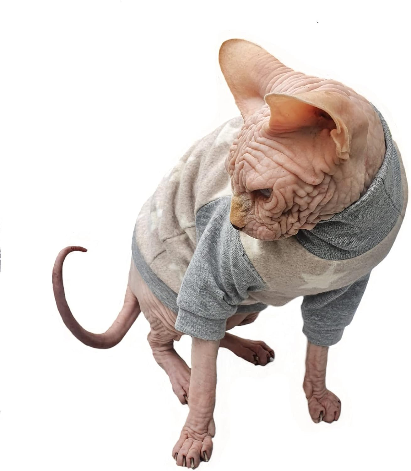 Kotomoda Hairless Cat'S Cotton Stretch Winter Sweater Sort Stars. Organic Fleece for Sphynx Cat (X-Small) image number 1