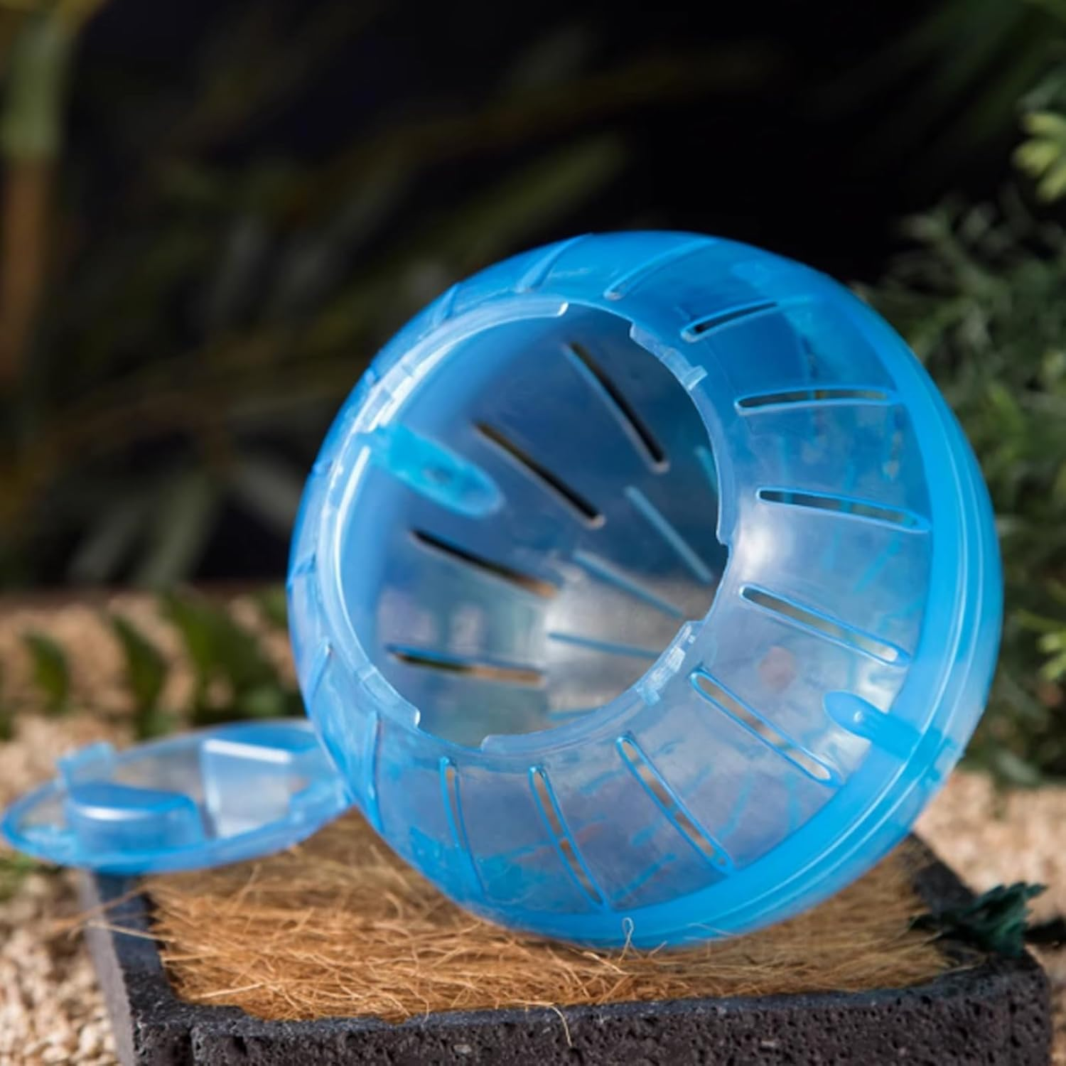 Hamster Wheel, 10 Cm, 12 Cm Diameter, Small Transparent Plastic, Running Ball for Hamsters, Hamster Running Ball, Gymnastics Ball, Hamster for Small Animals, Mice (12 Cm) image number 5