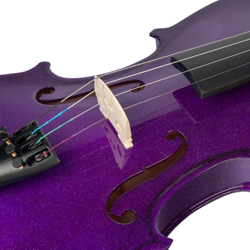 Tignapoo 4/4 Violin Spruce Wood Top Panel Basswood Back Side Panel with Gig Bag Brazilwood Bow for Beginner String Instrument image number 6