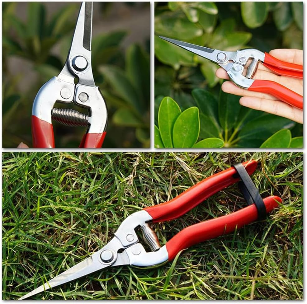 2 Pcs Sturdy Pruning Shear Garden Scissors Gardening Snips Professional Micro-Tip Pruning Tool for Arranging Flowers, Trimming image number 6