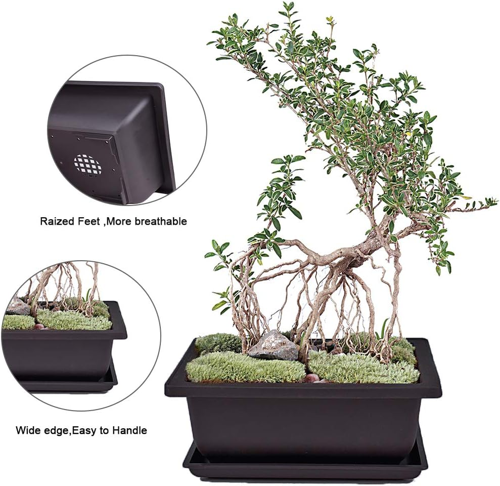 6Pcs/Pack Retro Style Basin Larger Plastic Flower Pot Planters Bonsai Plant Bowl Nursery Pots Plastic Bonsai Training Pots Rectangle Large:8.9" image number 3