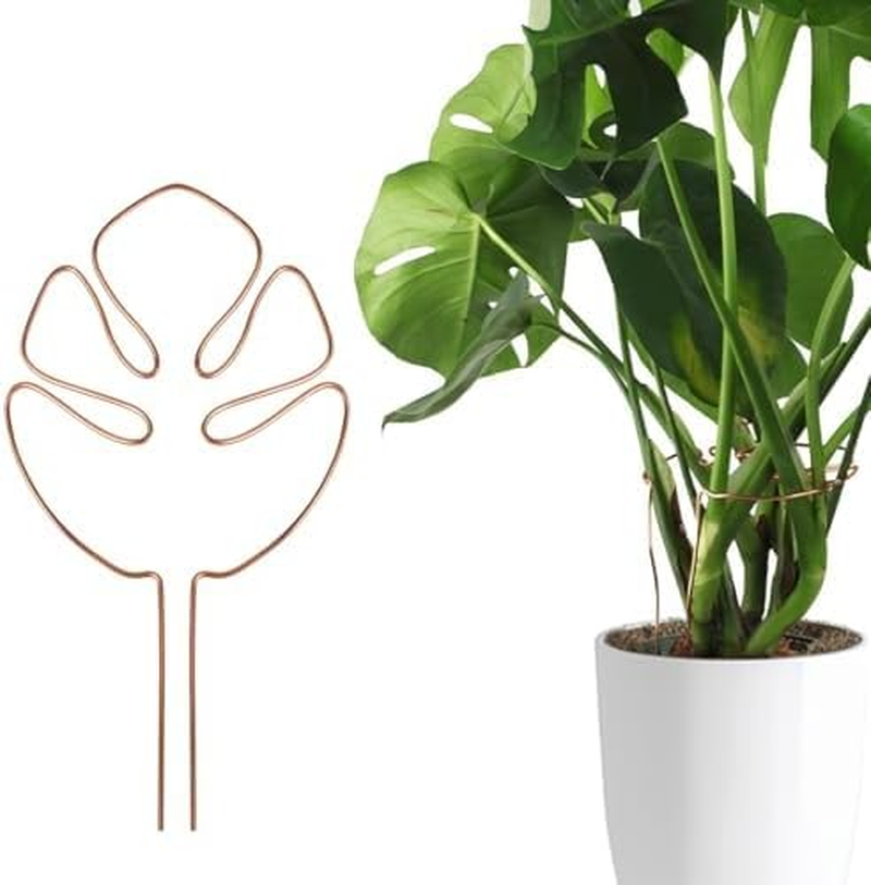 Charming Club Golden 30Cm 1PCS Plant Support for Monstera Potted Bendable Aluminum Wire Assisted Plant Growth Plant Lodging Prevention