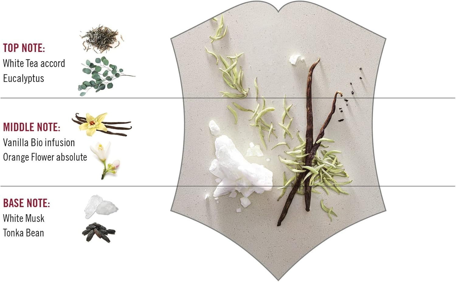 Swiss Army Victorinox First Snow for Women 3.4 Oz EDT Spray image number 6