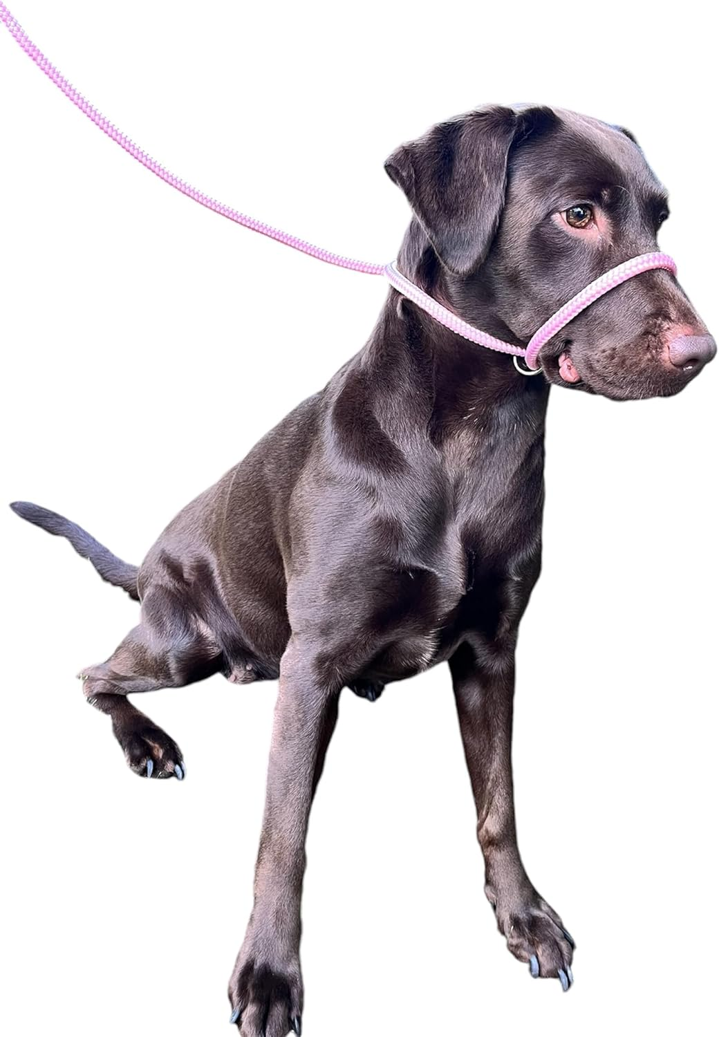 No More Pulling! anti Pull Lead Field Figure 8 / Halter/Head Collar One Size Fits All Super Soft Braided Nylon Comfortable Make Your Walks More Enjoyable -Instructions Included (Pink) image number 3