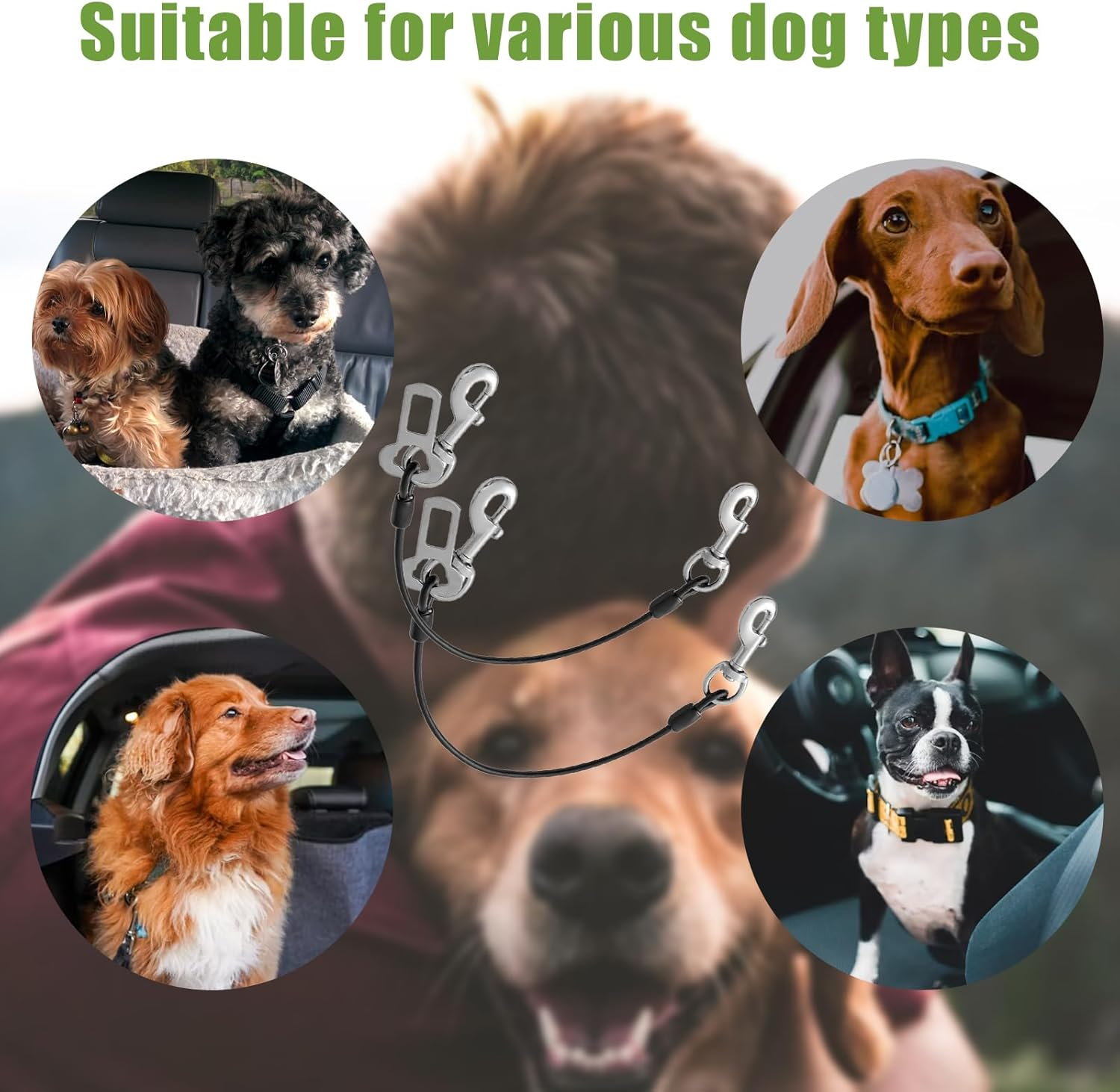 Car Harness for Dogs, Heavy Duty Steel Rope, Pet Dog Seat Belt, Made of Carbon Steel, Chew Resistant Tether Rope, Vehicle Harness with Double Clips and Locking Fastener, 2 Pack image number 3