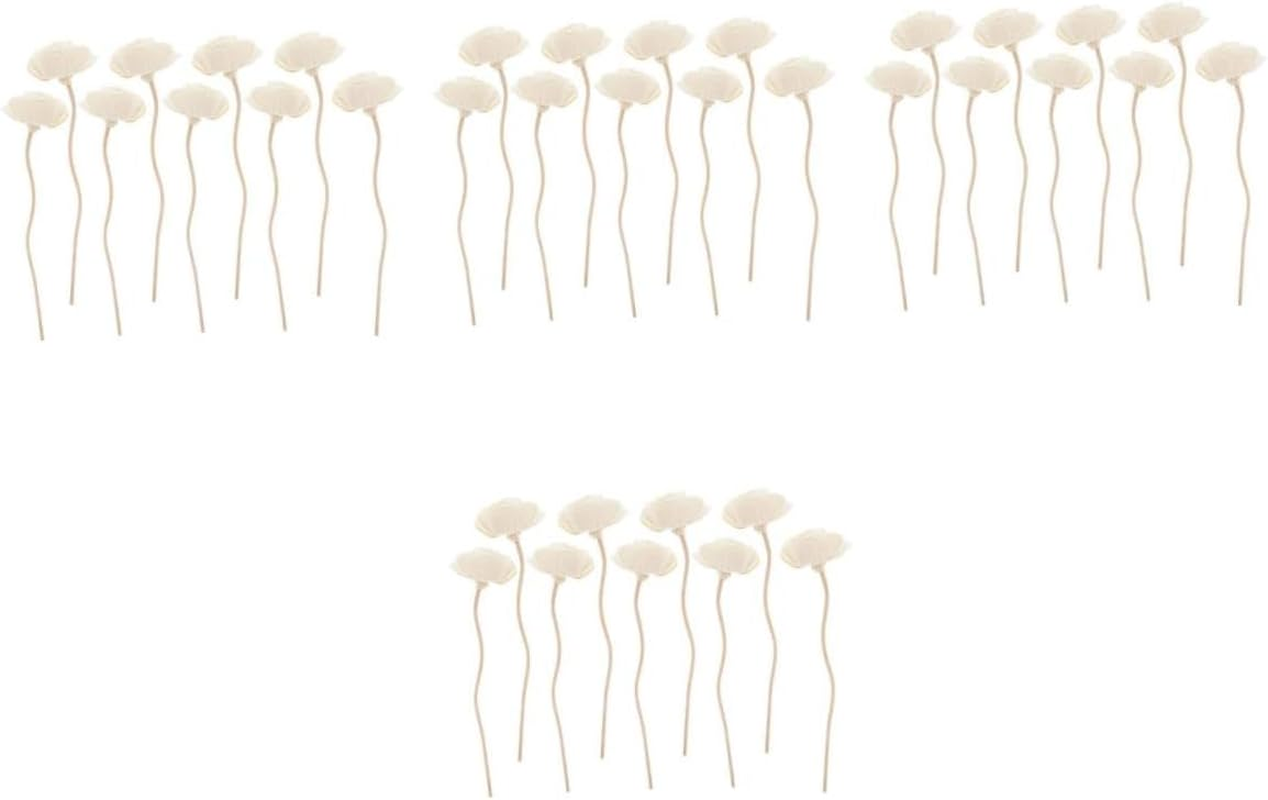 Cabilock 36Pcs Dried Flower Aroma Diffuser Sticks Essential Oil Reed Diffuser for Home Replaceable Fragrance Sticks for Living Bedroom Aromatherapy
