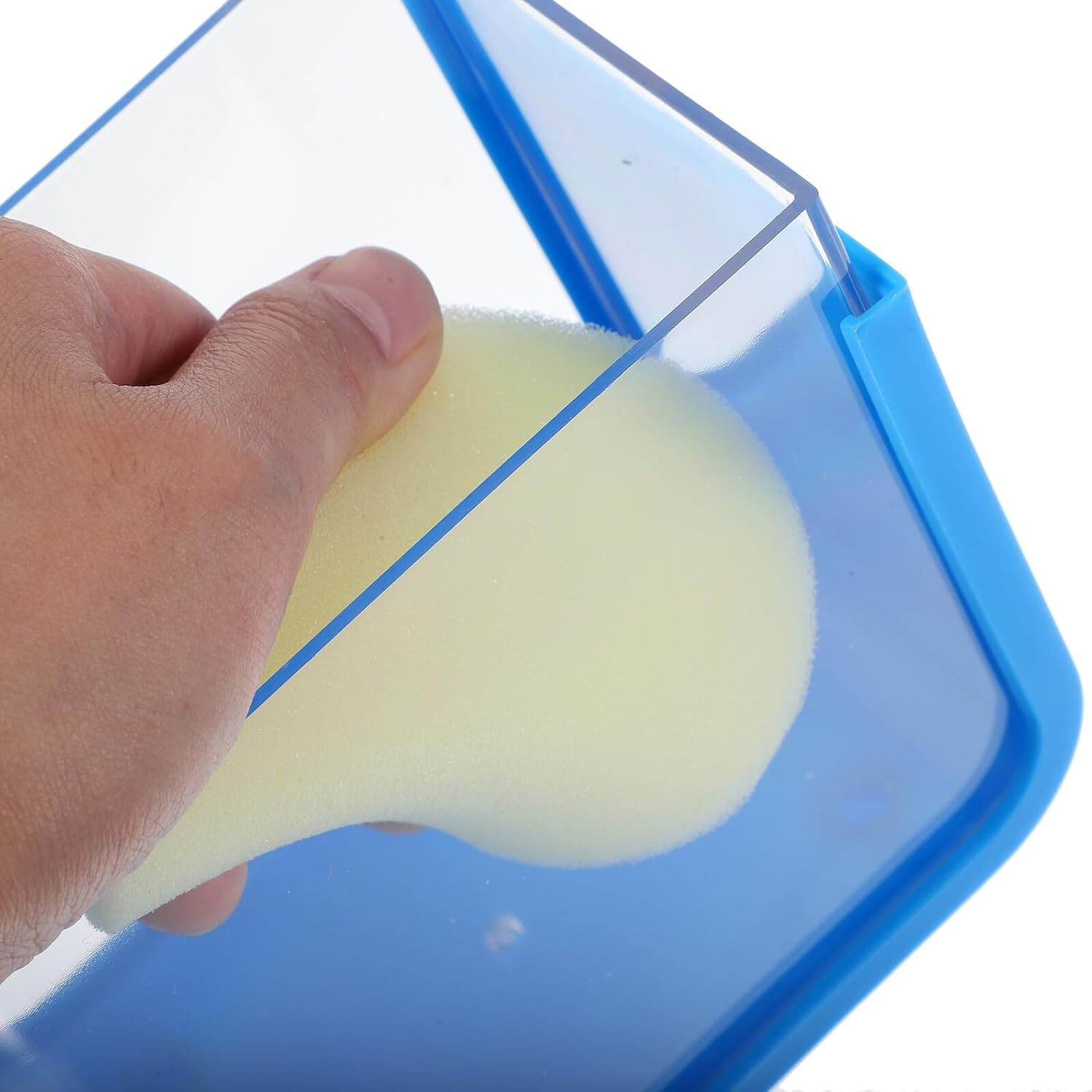 Mini Fish Breeding Box with LED Light Detachable Blue Plastic Aquarium Small Desktop Incubation Fish Tank and Aquatic Pets in Home or Office image number 3