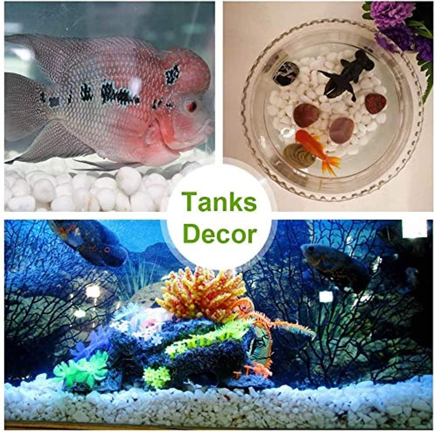 Royal Sapphire Decorative Stone Pebbles Decorative River Rock Stones - Natural White Color Stones Use in Glassware, like Vases, Aquariums and Terrariums to Enhance the Appearance 4.5 Lbs image number 1