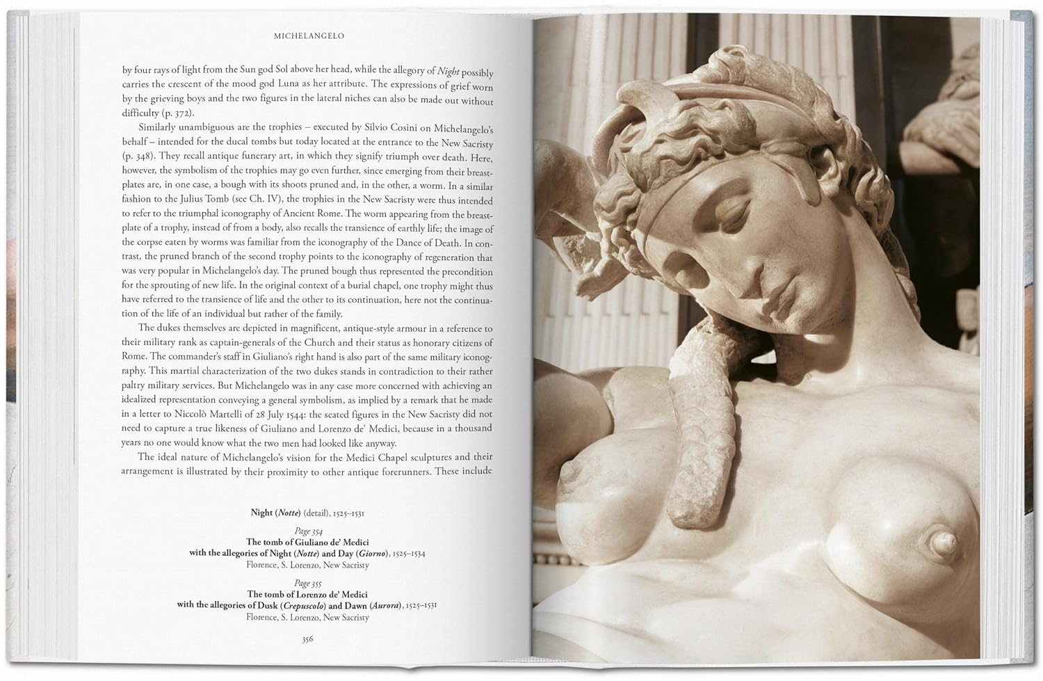 Michelangelo: the Complete Paintings, Sculptures and Architecture, 1475-1654 image number 1