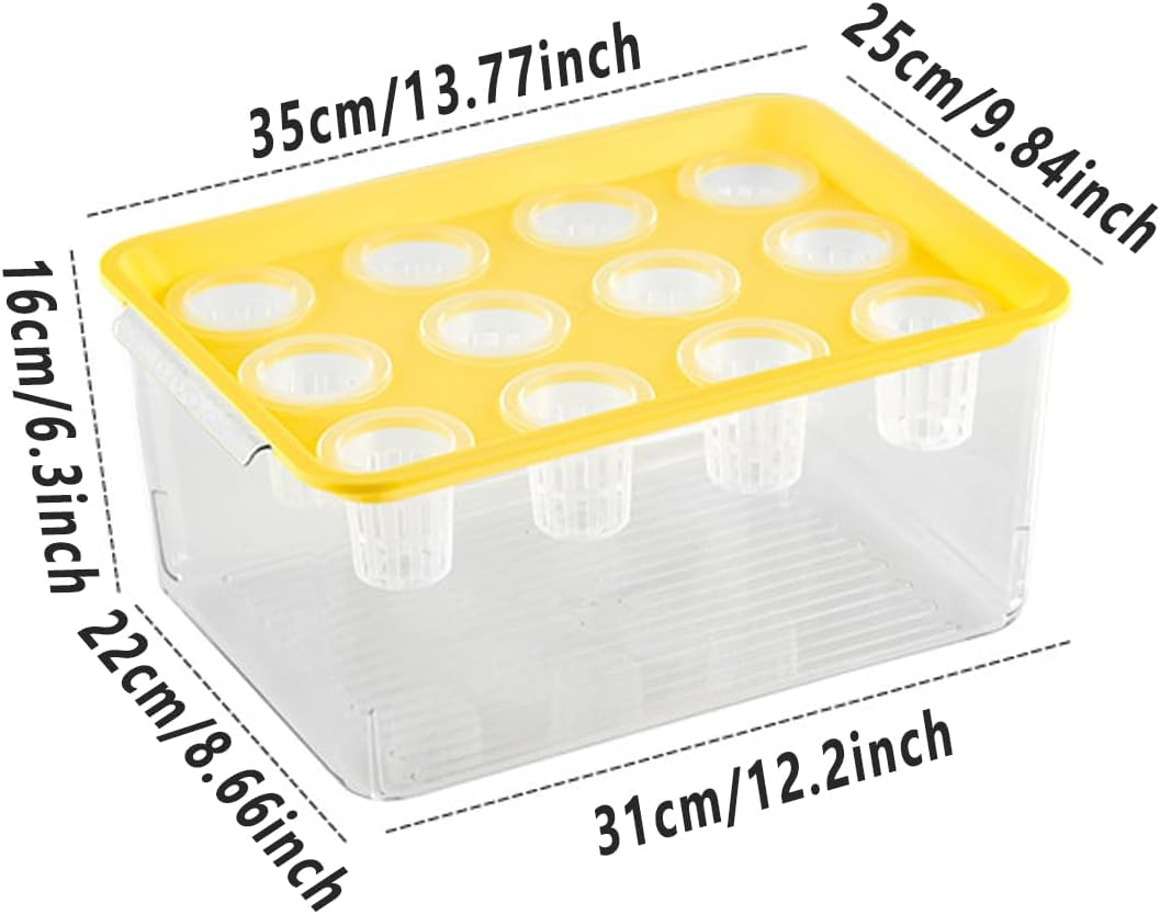 Transparent Plastic Rectangular Hydroponic Planter Box with Twelve-Hole Cover, Portable Micro Landscape Plant and Fish Tank, Ideal for Living Room Desktop Decoration, Durable Material - Green image number 4