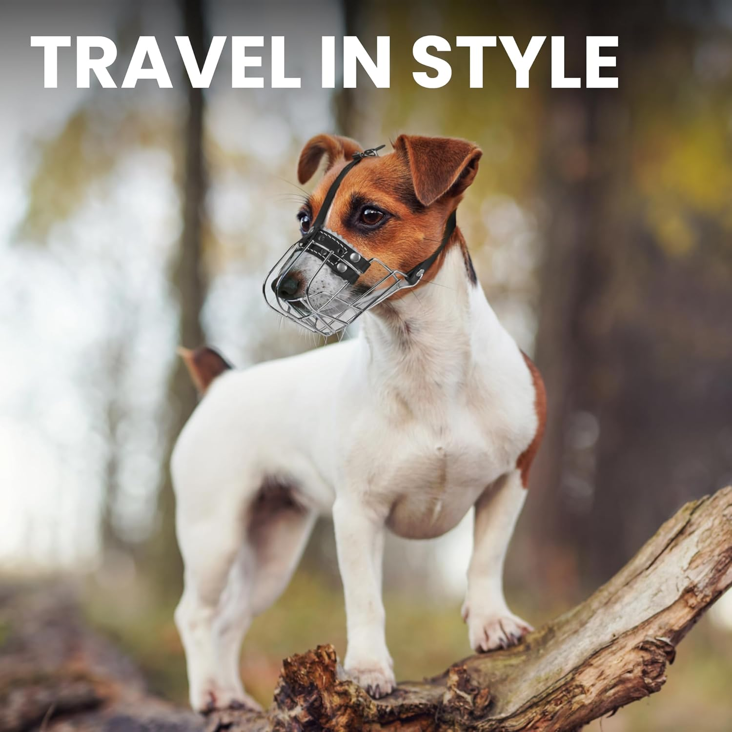 Bronzedog Wire Basket Dog Muzzle Jack Russell Terrier Metal Leather Adjustable Puppy Small (2XS) image number 2