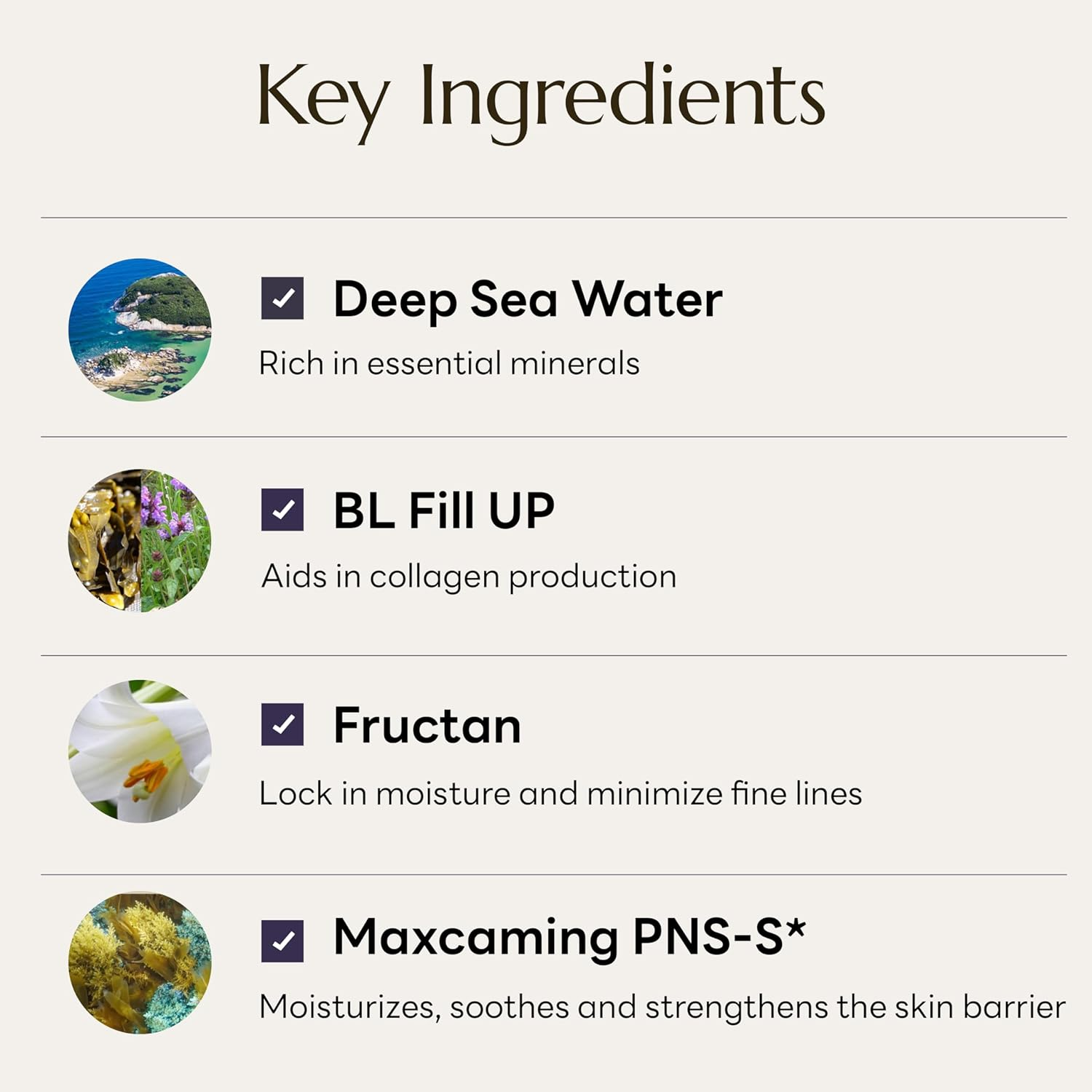 Molvany Volume Increasing Protein Face Cream 100 Ml image number 1