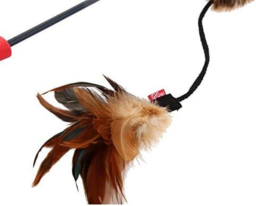 Gigwi Feather Teaser image number 1