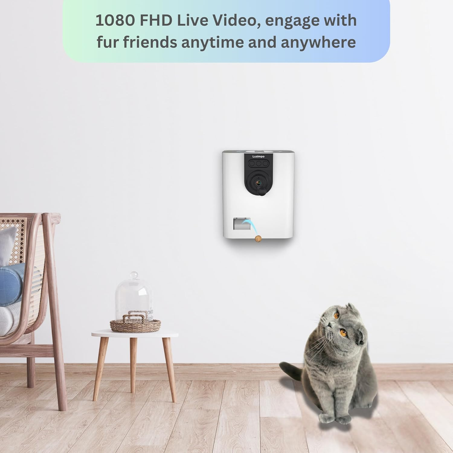 Pet Camera with Treat Dispenser, Tossing for Dogs/Cats, Wifi, 1080P Camera, Live Video, Auto Night Vision, 2-Way Audio, Compatible with Alexa & Google Home, No Monthly Fee