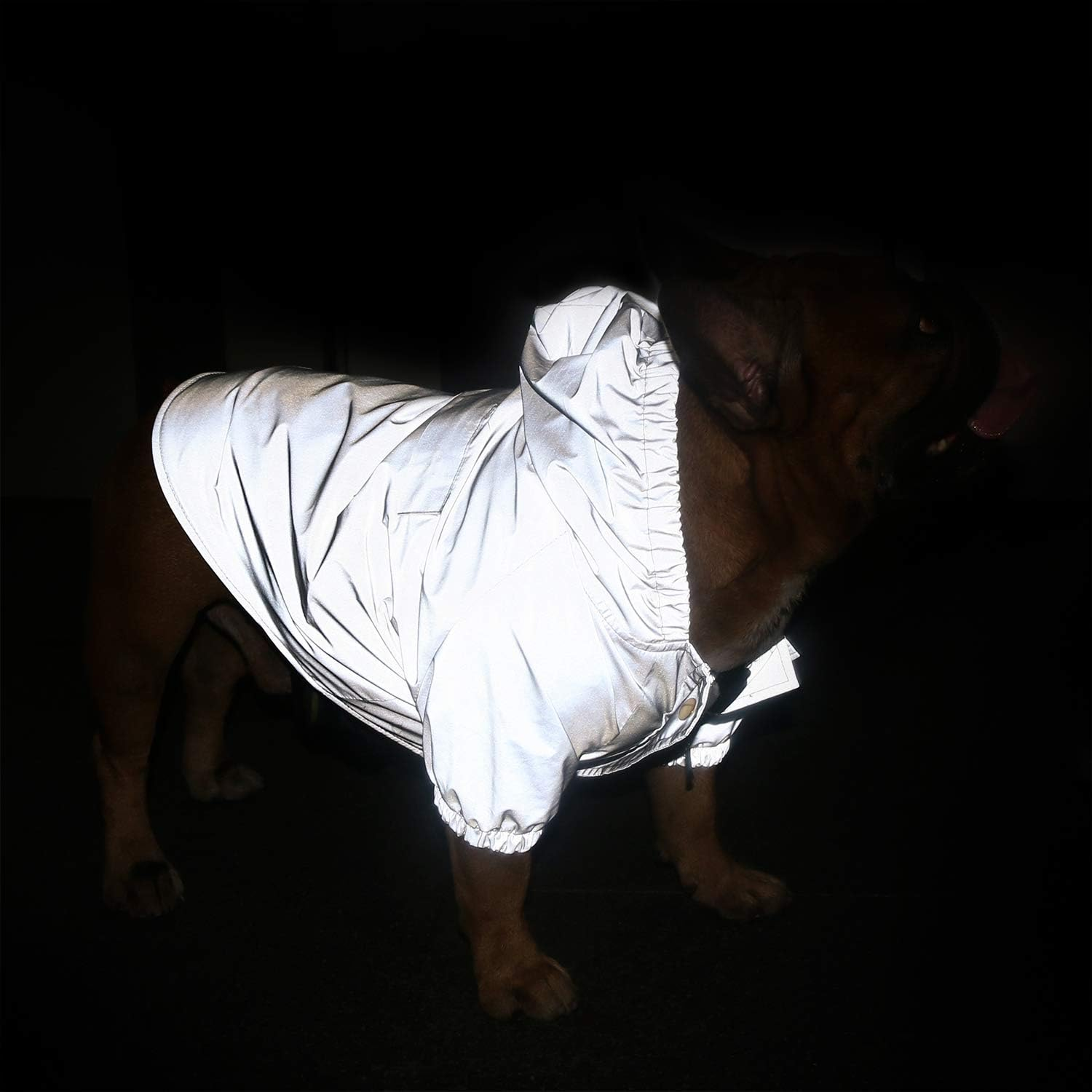 Ichoue Dog Reflective Safety Jackets Waterproof Raincoat Are All Made up of High Reflection Fabric Keep Dogs Visible Safe at Night for French Bullodg Pug- Silvery/Size S image number 6