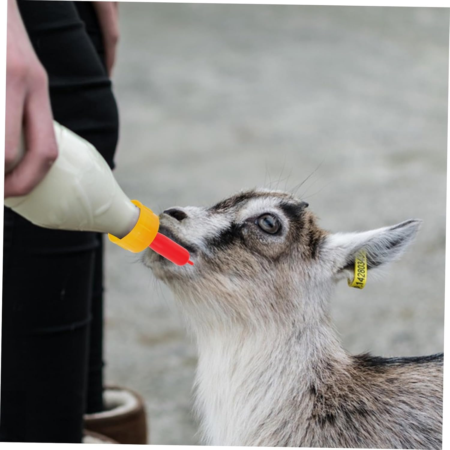 Kisangel 30Pcs Soft Silicone Goat Nipples for Feeding Goats and Lambs Small Animal Milk Drink Pacifiers Compatible with Multiple Bottles Safe Nursing Teats for Calves and Mammals image number 3