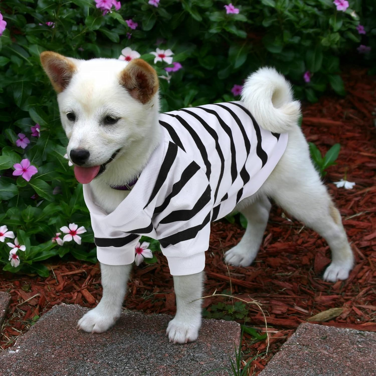 Pet Dog Striped T-Shirt Dogs Cats Vest Spring Summer Pet Apparel Tee Shirt Suitable for Small and Medium Large Pets (White, S) image number 1