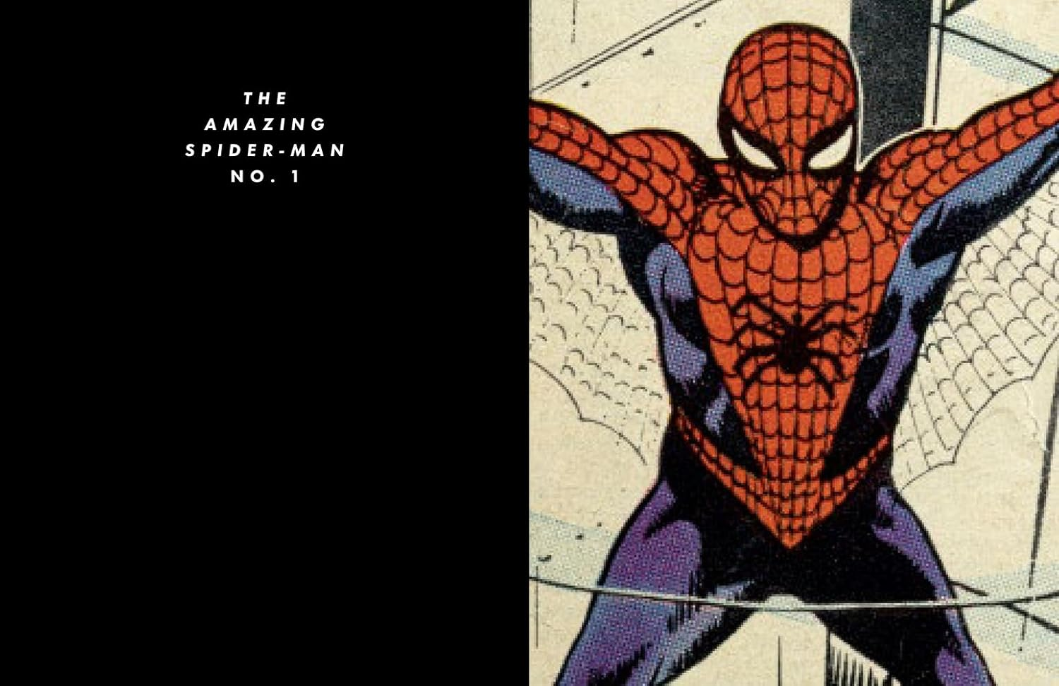 Spider-Man: Panel by Panel image number 6