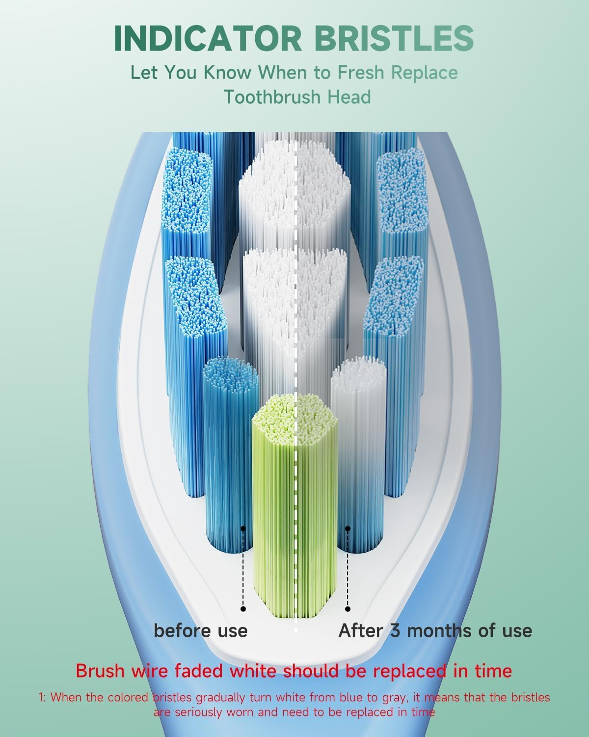 Silicone Wrapped Toothbrush Heads Compatible with Philips Sonicare C3 C2 G3 A3 W2 Replacement Heads, 10 Pack Brush Heads Compatible with Philips Sonicare Snap-On Toothbrush Handles, White image number 6