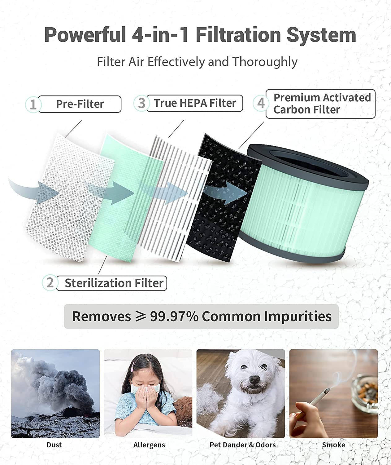 Dreamegg HEPA Air Purifier - Air Purifiers for Bedroom Allergies and Pets, 4-In-1 True HEPA & Activated Carbon Filter, Quiet 360&deg; Air Intake Cleaner with Pet Mode Night Light for Home Smoker Office image number 5