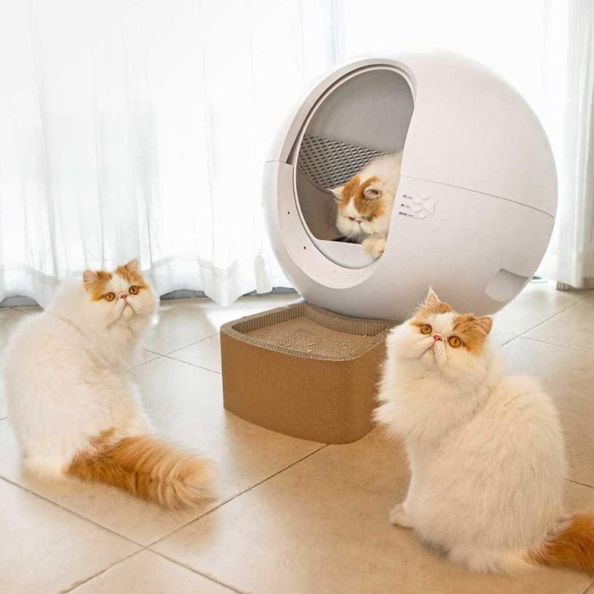 Self Cleaning Cat Litter Tray, Cat Litter Box, Odor Removal/60L Extra-Large Capacity, Smart Automatic Cat Toilet for Multiple Cats, Built-In Camera, Intelligent Identification of Multiple Cats