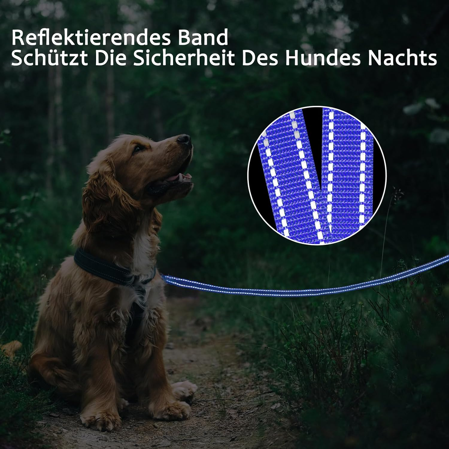 Demigreat Recall Lead for Dogs, 3 M / 5 M / 10 M / 15 M / 20 M Robust Long Dog Lead Reflective Training Lead with Padded Handle and Hand Strap image number 2