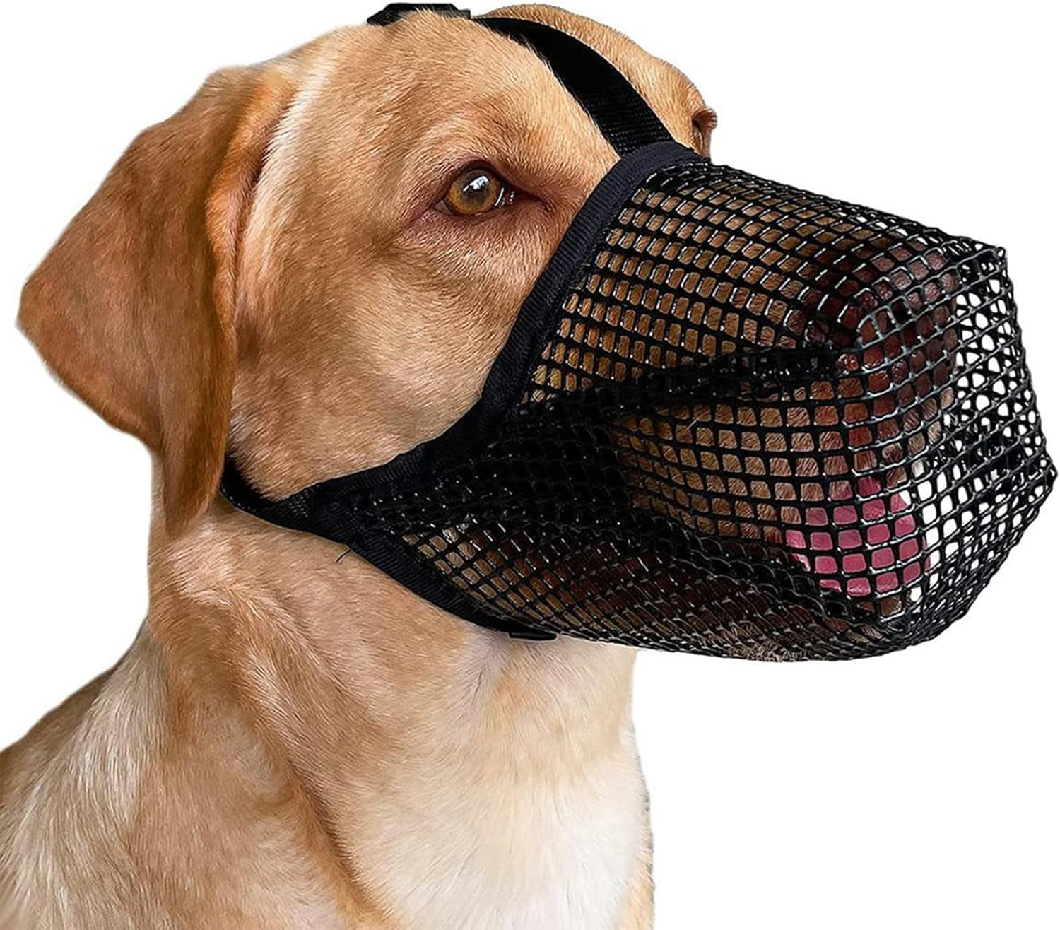 Dog Muzzle, Dogs anti Bite Air Mesh Dog Muzzle with Adjustable Straps, Breathable Drinkable Prevent Biting Barking Chewing Licking for Pets image number 4