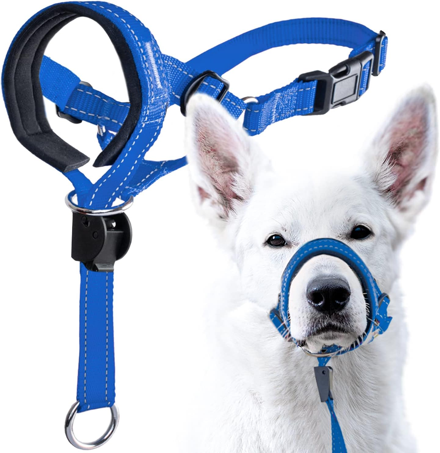 Goodboy Dog Head Halter Blue Nylon (Blue, 2) image number 5