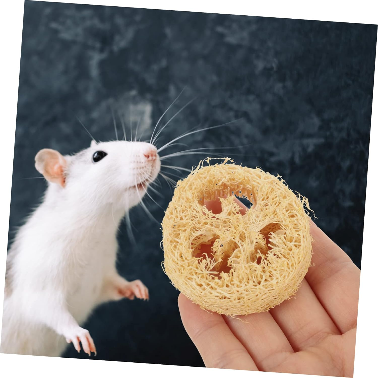 UKCOCO 12Pcs Loofah Chew Toys Small Animal Toys Guinea Pig Chew Supplies Organic Loofah Teeth Cleaning Vibrant Colour Hamster Rabbit PET Random Color image number 5