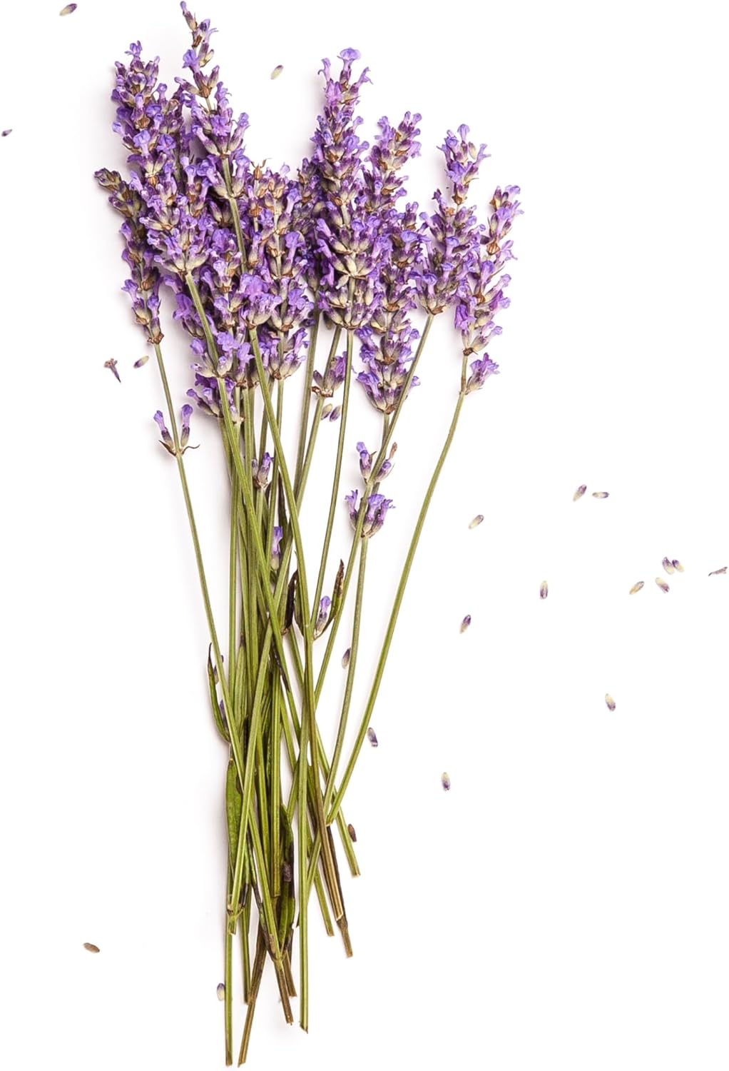 BONDI WASH Hand Lotion Tasmanian Pepper & Lavender 500Ml image number 4