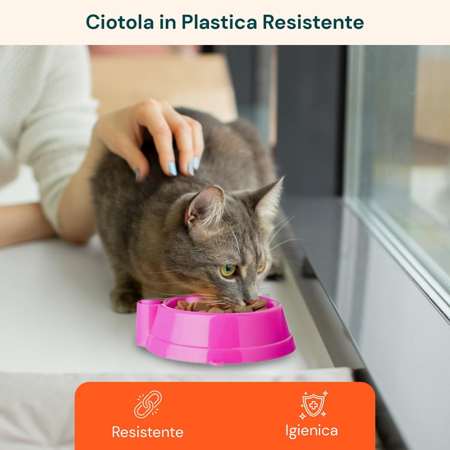 Avilia Heavy Duty Plastic Cat Dog Bowl Set with Brush and Sponge with Soft Bristles Ideal for Grooming Your Pet'S Fur and Paws image number 6