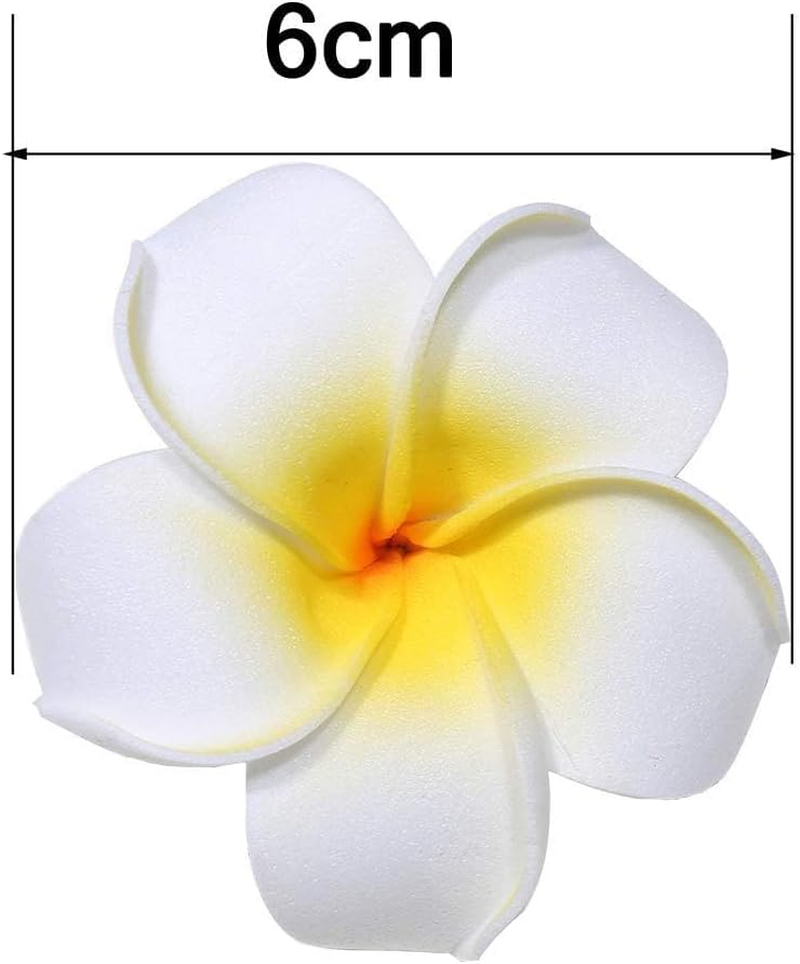 Hawaiian Frangipani Plumeria Clips and Hair Clips Foam Head Flower Party Beach Hair Clips Hair Accessories Pack of 2 (White and Pink) image number 1