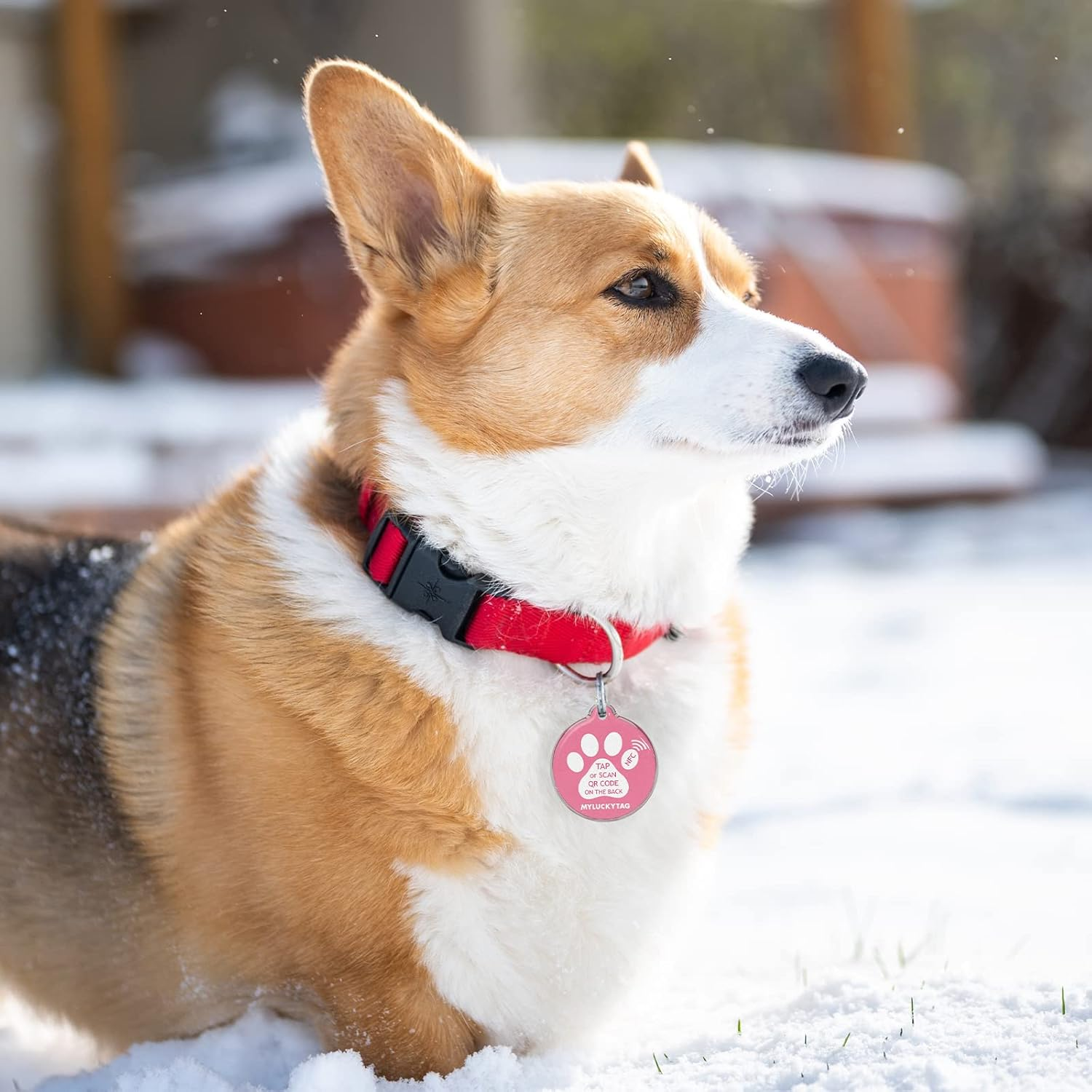 MYLUCKYTAG NFC & QR Code Smart Pet ID Tag Personalized Dog Cat Tag, Online Pet Profile, Pet Location Alert Email image number 6