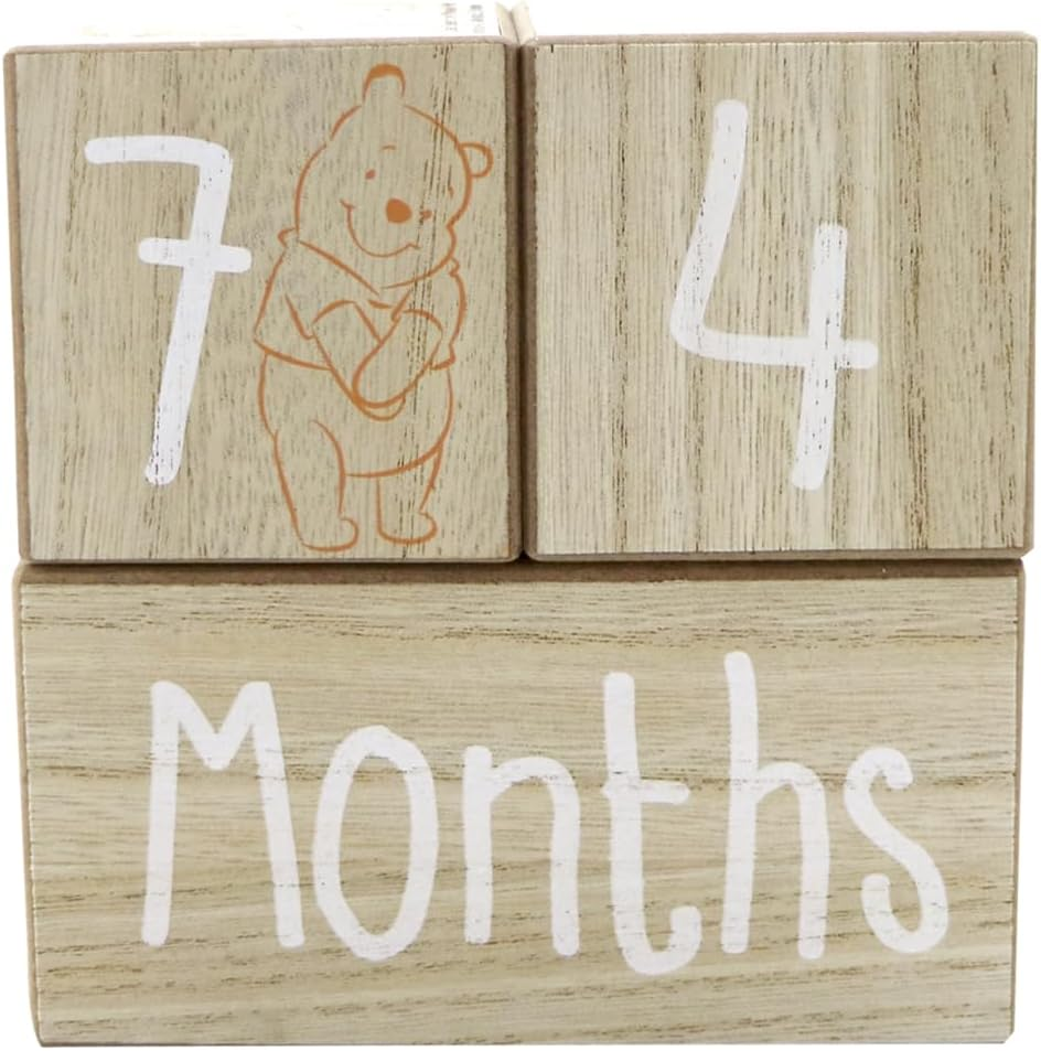 Winnie the Pooh Milestone Pieces - Pooh image number 2