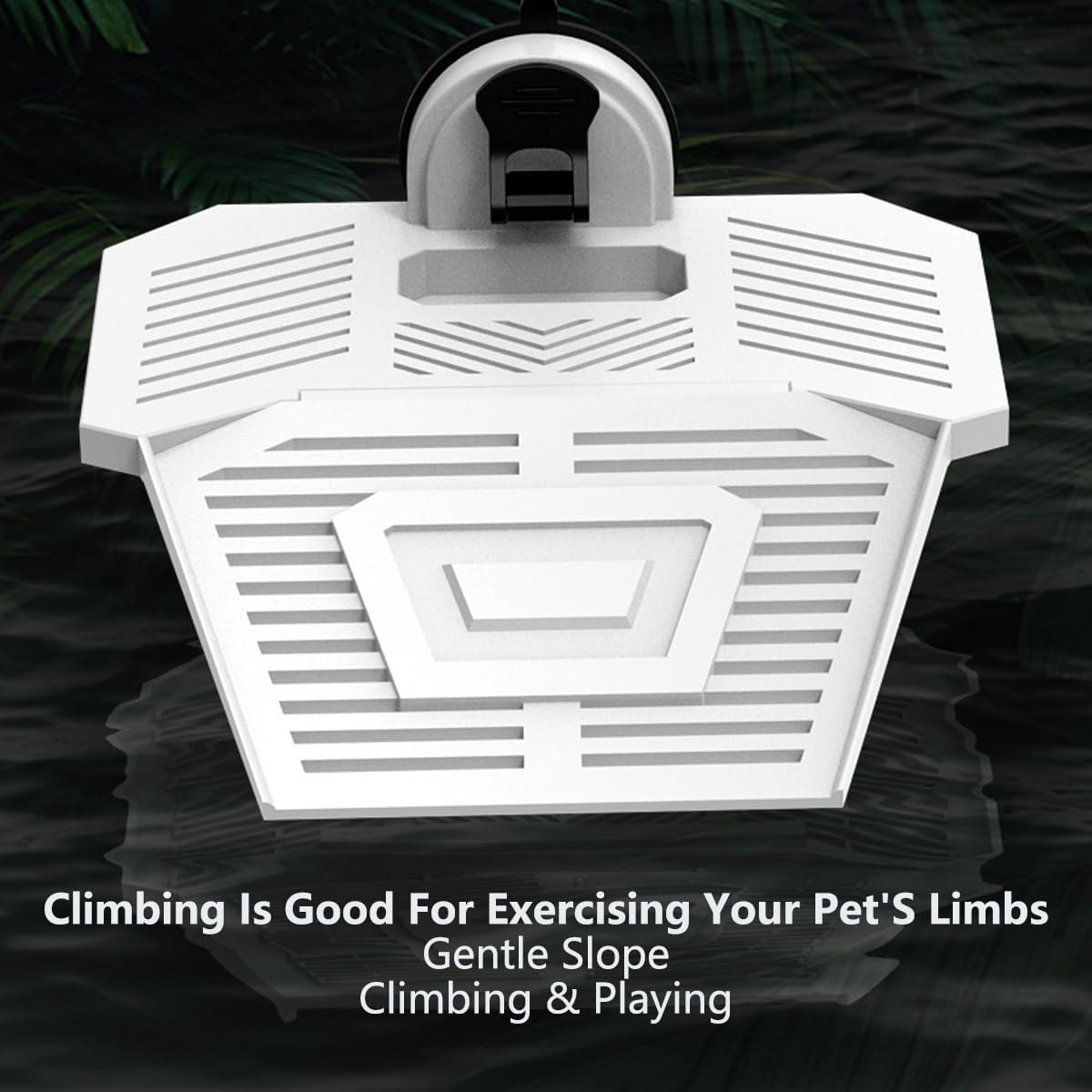 AIMALL 1Pc Tortoise Climbing Platform with Suction Cups Detachable Drying Table for Fish Tank and Turtle Habitat image number 1