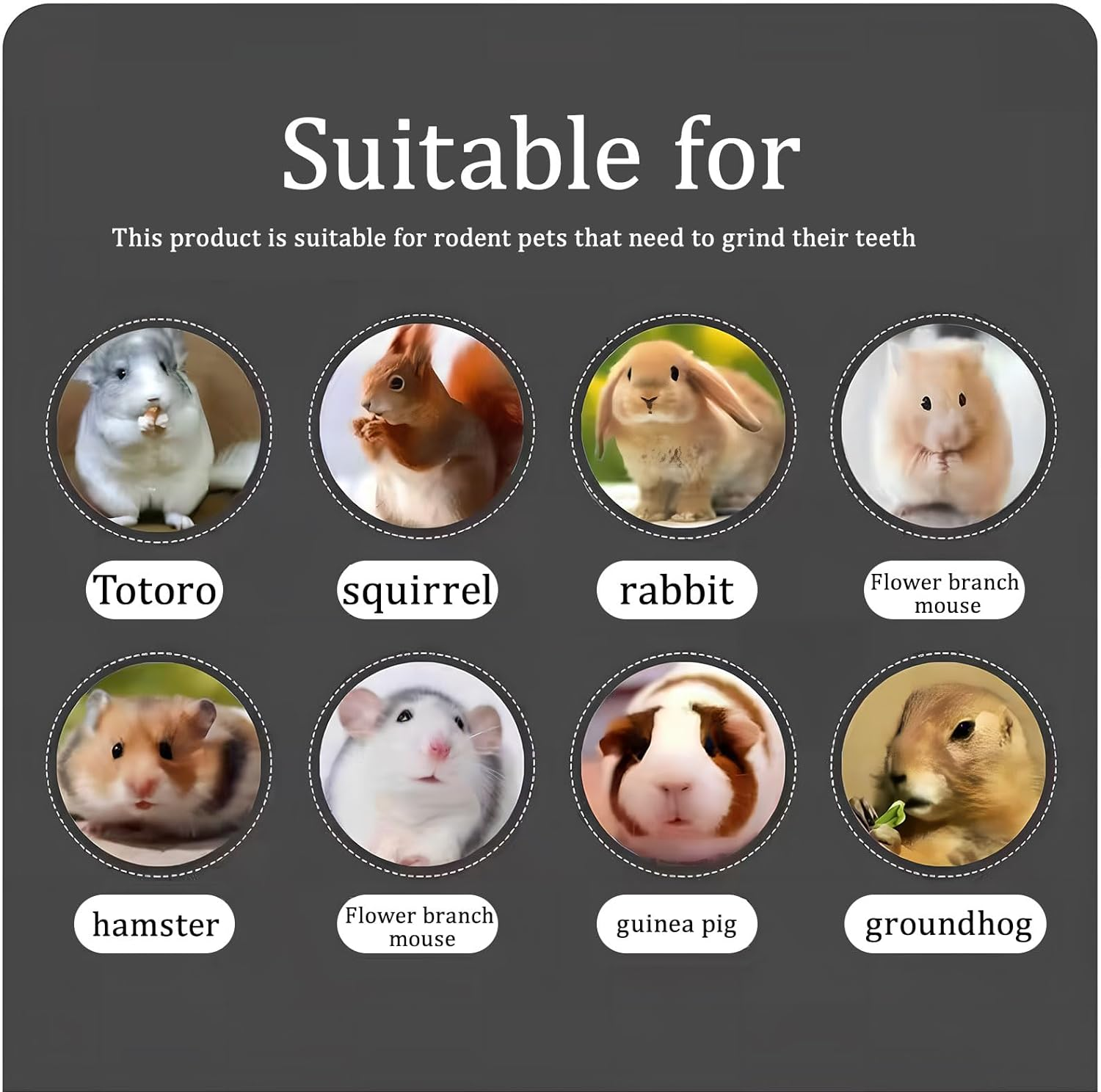 Turadh 200G Natural Apple Wood Chew Sticks,Small Animal Dental Chew Toys for Rabbits, Guinea Pigs, Chinchillas, Hamsters, Bunny Treats with Timothy Hay, Molar Teeth Stick, Rabbit Food image number 4