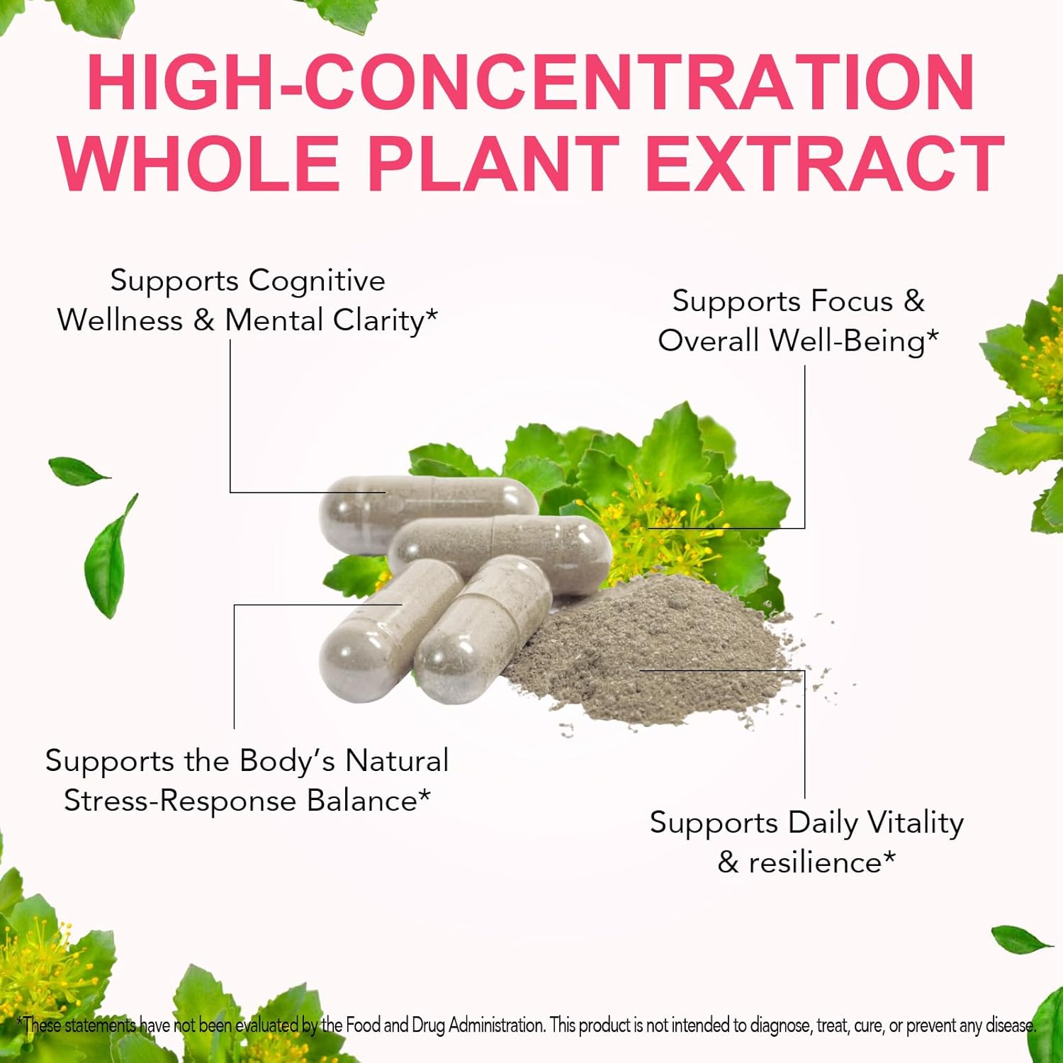 Rhodiola Rosea Extract 500Mg | Standardised Botanical Formula | Daily Herbal Supplement | 4 Month Supply | 120 Capsules image number 4