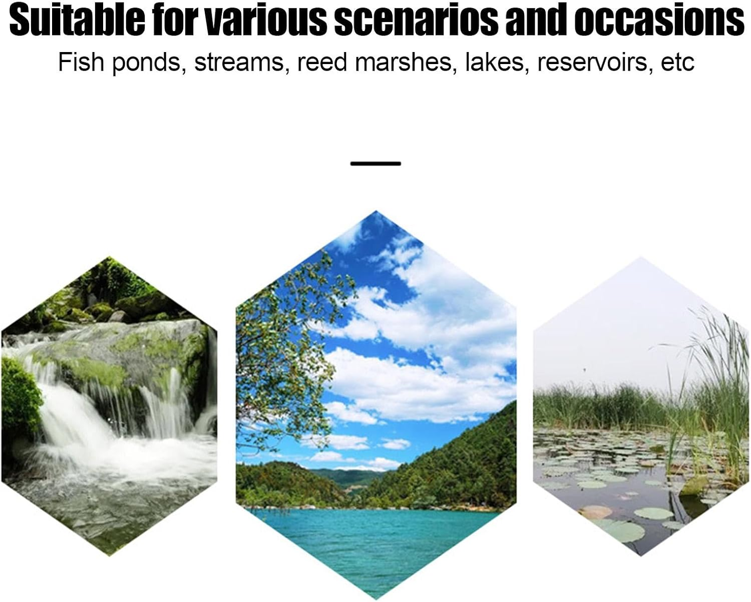 Fish Trap,Crab Trap with 3/8 Holes,Portable Fish Traps for Fishing,Fishing Bait Eel Trap,For Catching Small Fish,Crayfish,Crabs,Herring,Shrimp,Lobster image number 1