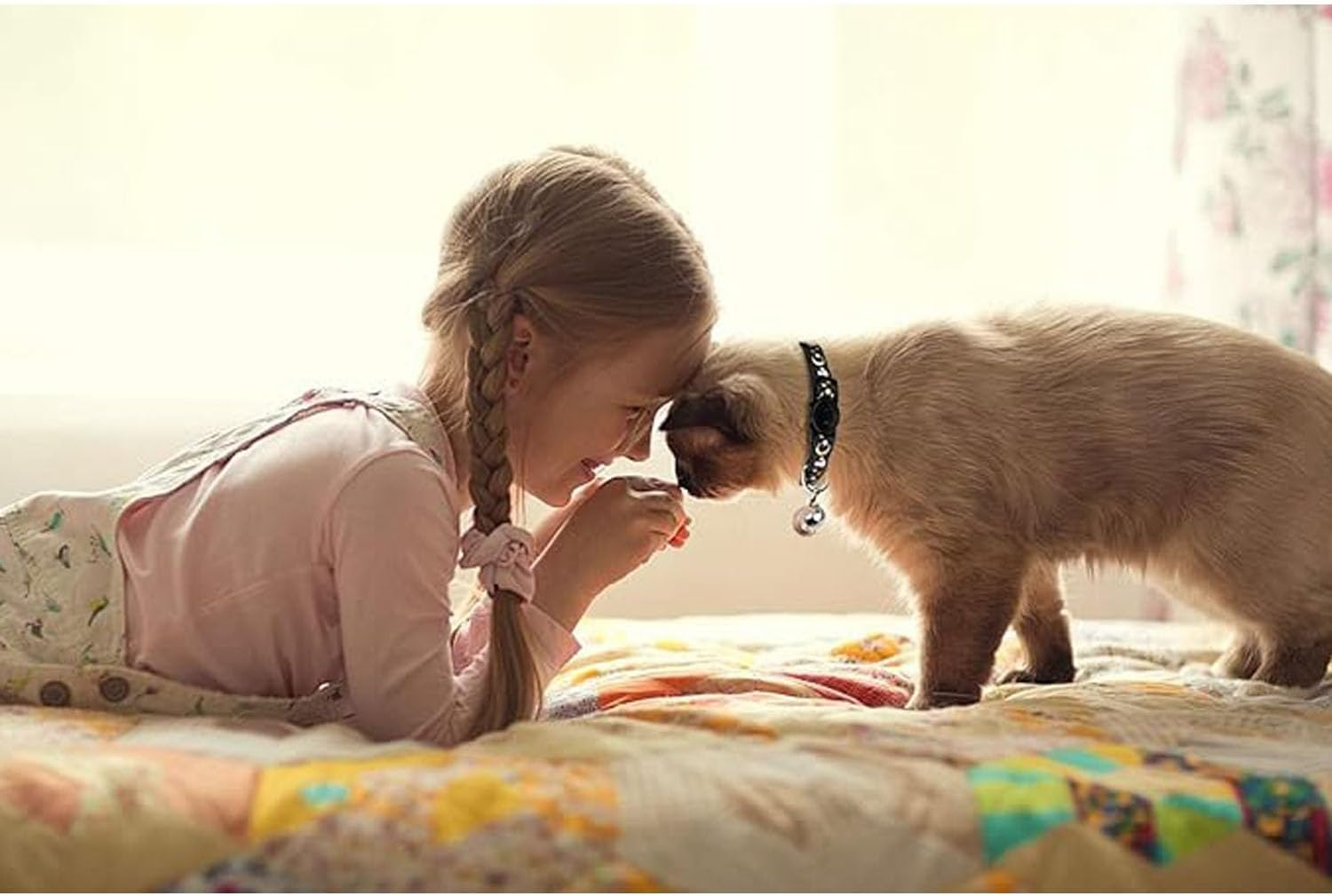 EOMECUIGAO Breakaway Cat Collar with Bells 2PCS Adjustable Moon and Star Kitten Safety Collars (Black &Blue) image number 5