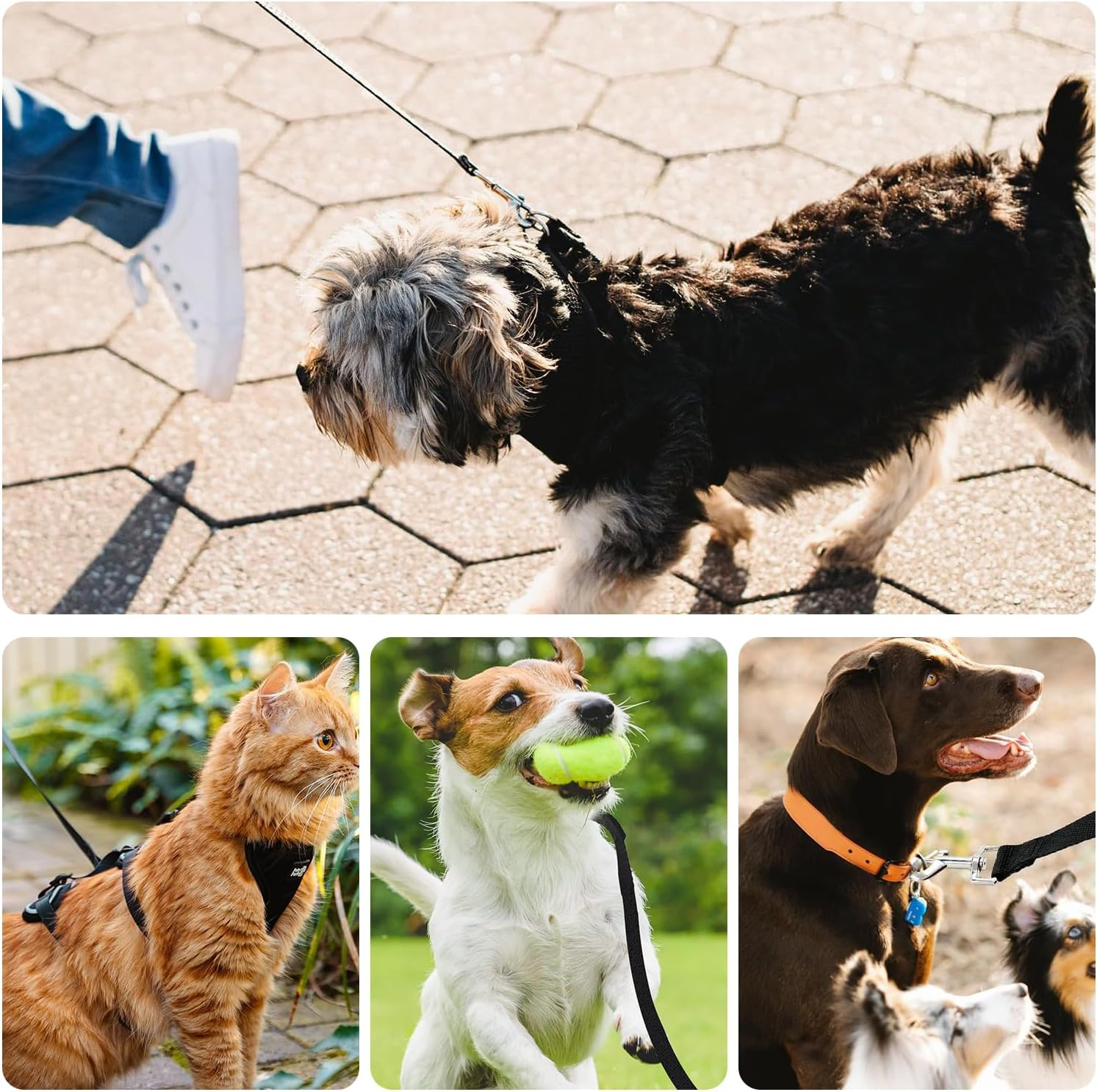 Recall Lead 5 M, Recall Lead for Dogs, Dog Lead with Hand Loop, Training Lead, Recall Dog Training Lead, Running Lead for Dogs, Cats and Puppies image number 4