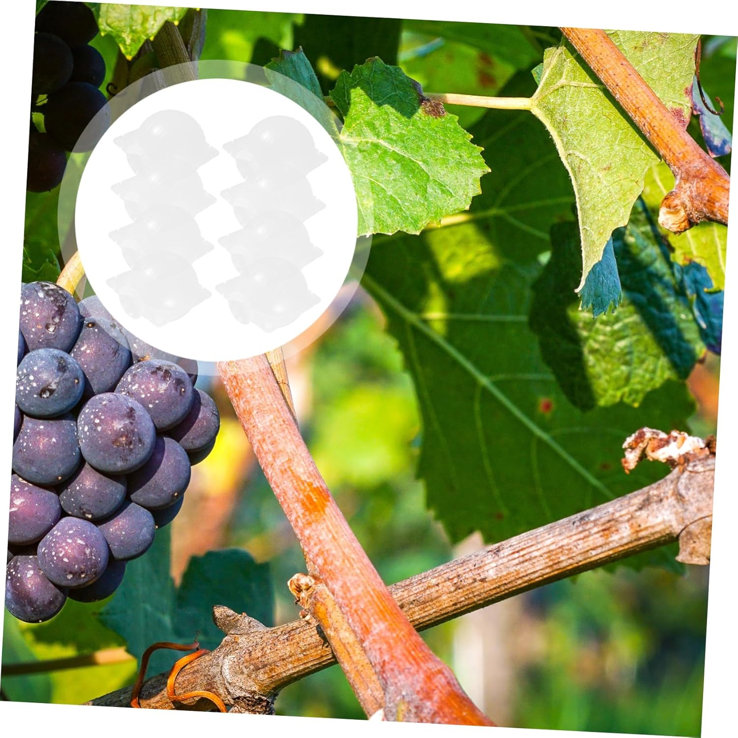 Milisten 8Pcs Box Gardening Grafting Rooting Devices Propagation Rooting Device Root Suite Outdoor Incubator Breeding Box Air Layering Propagation Balls Air Grafting Supplies High Pressure image number 4