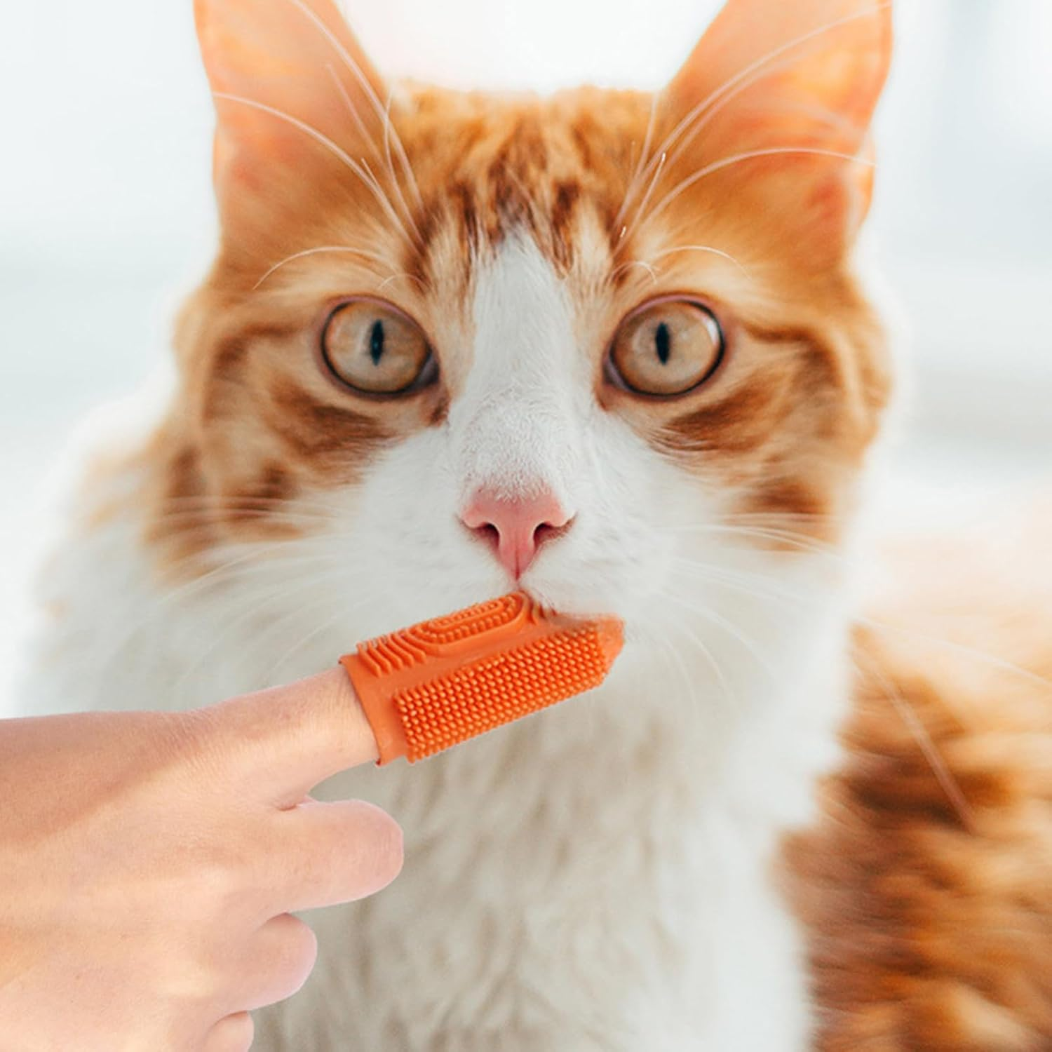 Pack of 10 Dog Toothbrush Dog Finger Toothbrush 360&ordm; Surround Toothbrush Cleaning Toothbrush for Dogs Cats Silicone Pets Finger Teeth Brush for Dental Care Oral Hygiene Orange image number 2